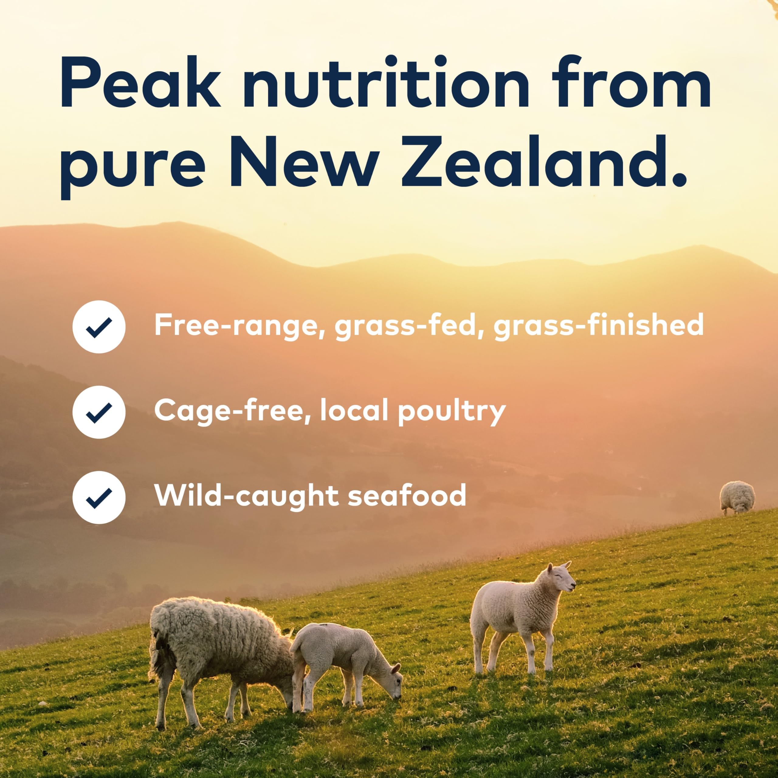 ZIWI Peak Canned Wet Dog Food – All Natural, High Protein, Grain Free, Limited Ingredient, with Superfoods (Mackerel & Lamb, Case of 12, 6oz Cans)