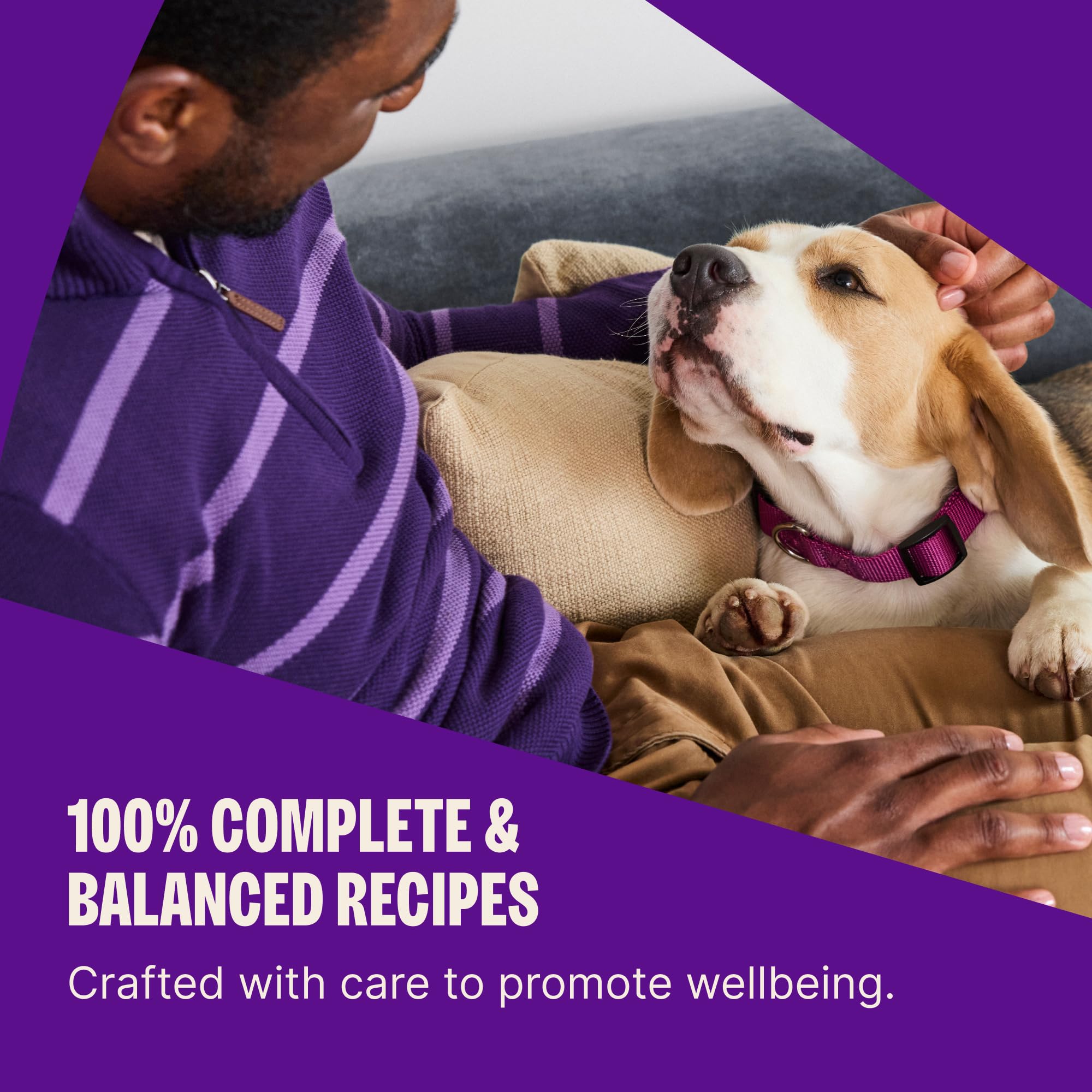Wellness Complete Health Puppy Dry Dog Food, Wholesome Grain Kibble, Natural, Chicken, Oatmeal, and Salmon Recipe, 30 lb Bag
