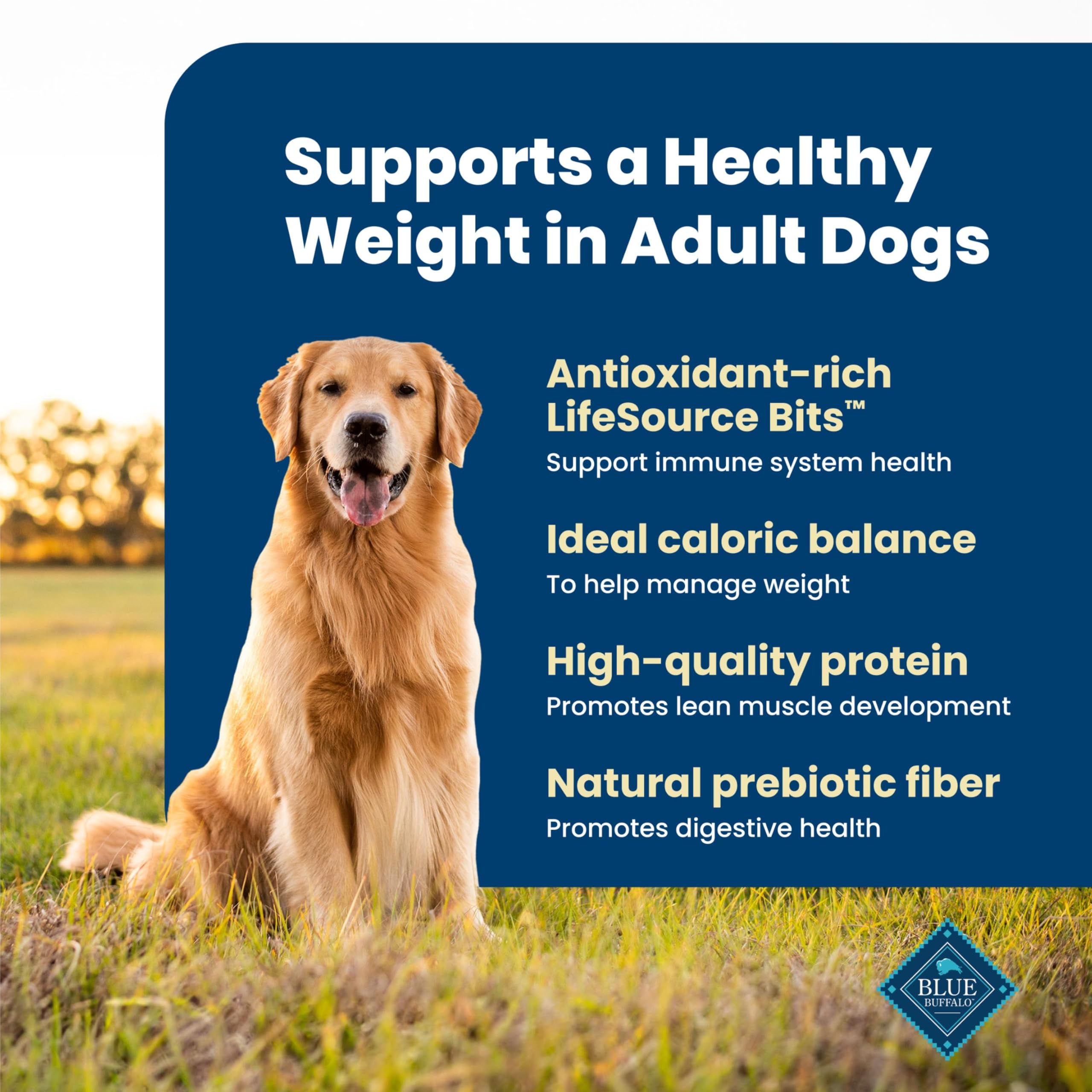 Blue Buffalo Life Protection Formula Healthy Weight Adult Dry Dog Food, Chicken & Brown Rice, Supports Immunity with Antioxidant-Rich LifeSource Bits, Promotes Lean Muscles & Weight Control, 30 lbs.