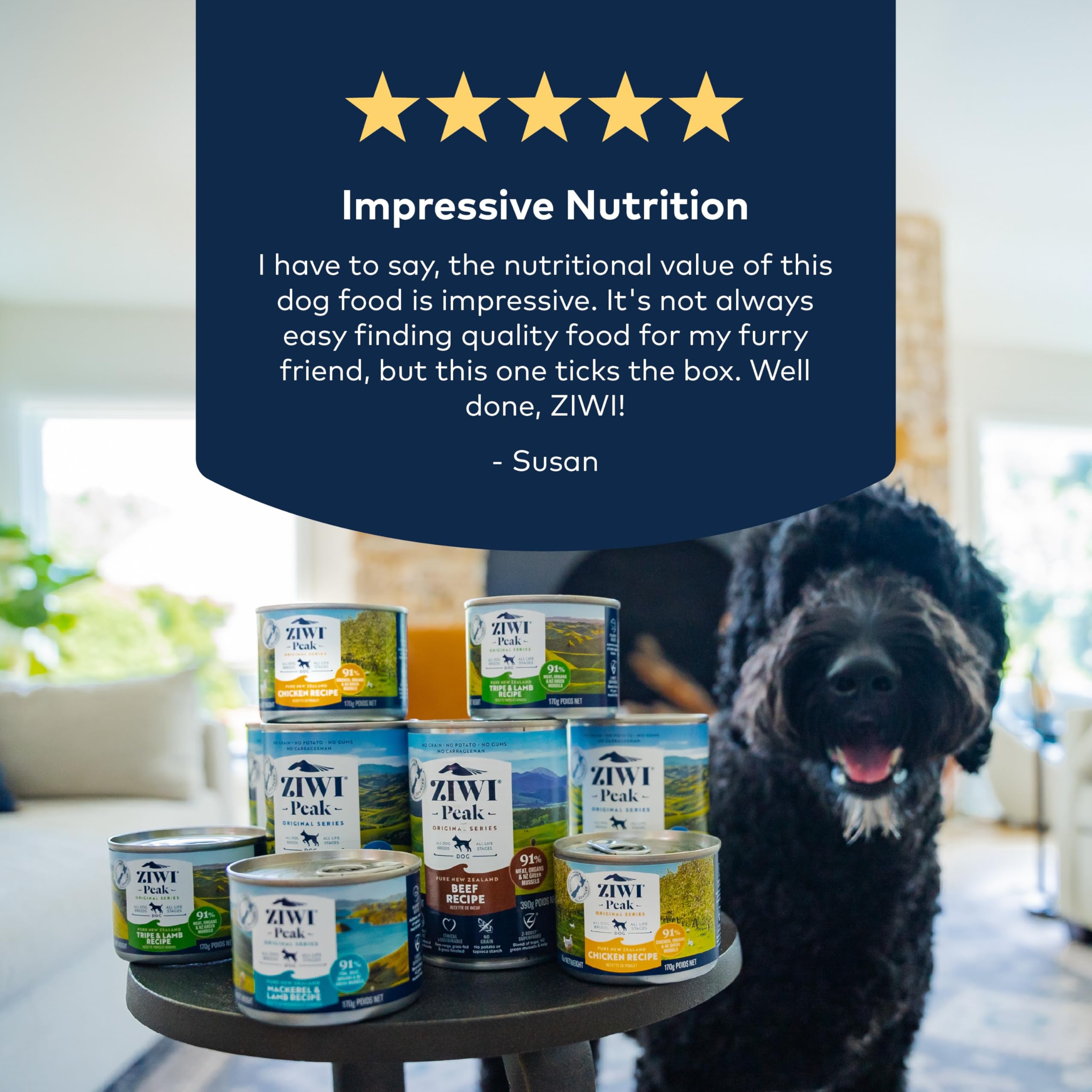 ZIWI Peak Canned Wet Dog Food – All Natural, High Protein, Grain Free, Limited Ingredient, with Superfoods (Mackerel & Lamb, Case of 12, 6oz Cans)
