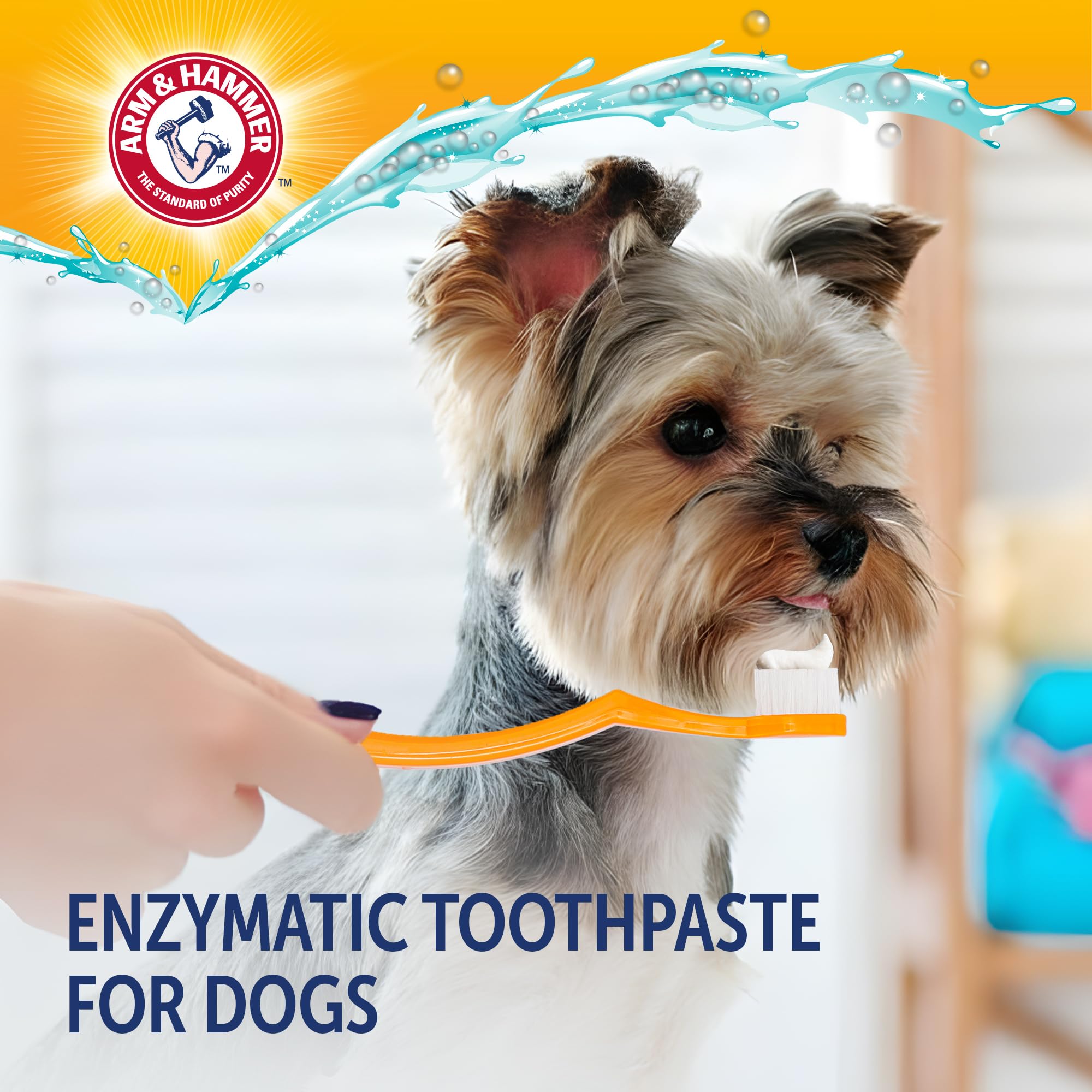 Arm & Hammer Complete Care Enzymatic Dog Toothpaste, Peanut Butter Flavor, Baking Soda and Calcium, Enzymatic Tartar Control Formula, Non-Toxic, Fluoride Free, 6.2 Oz