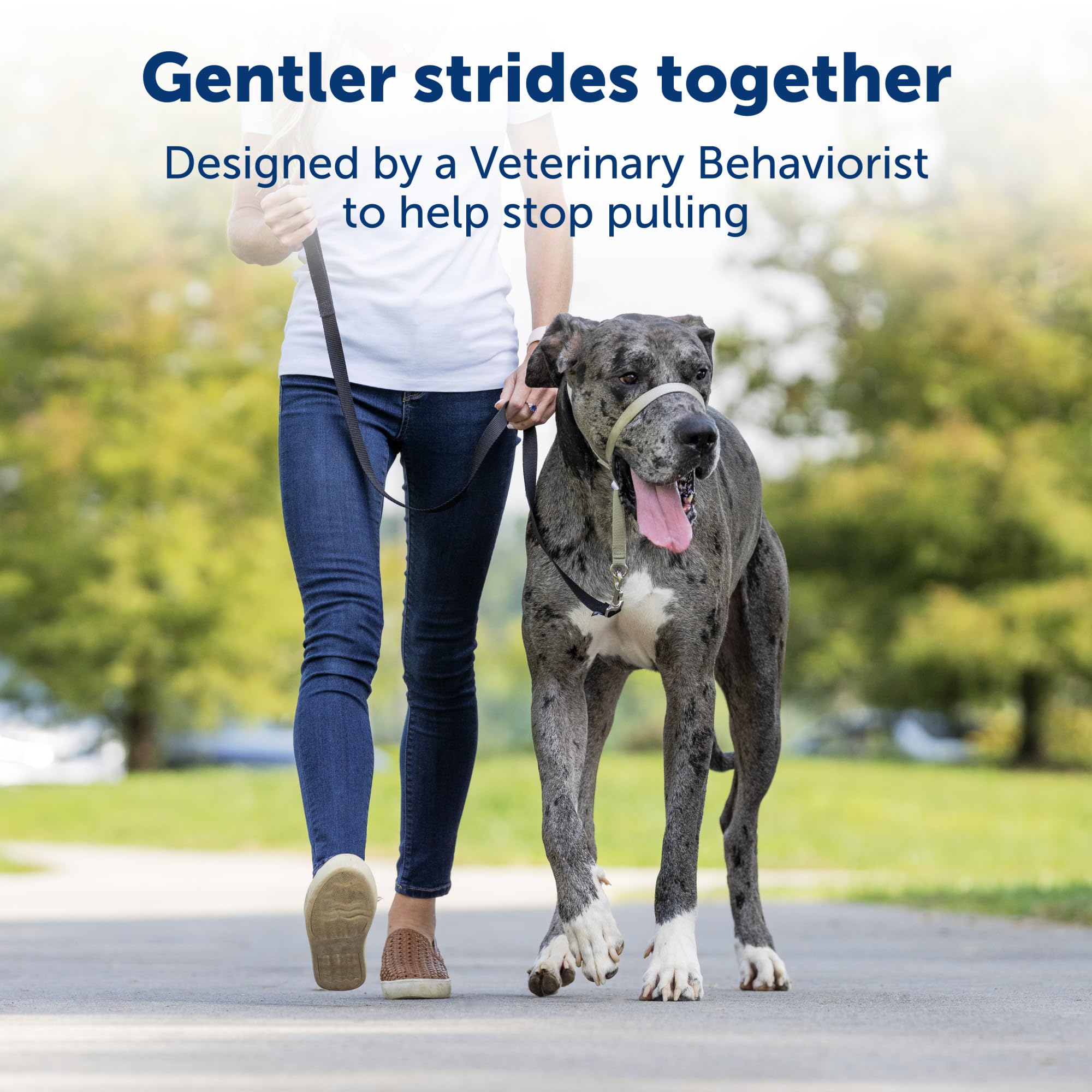 PetSafe Gentle Leader Headcollar - No Pull Dog Collar for Better Leash Manners - Comfortable Head Harness - Adjustable Nose Loop - Lightweight Walking Collar - Fawn - Petite