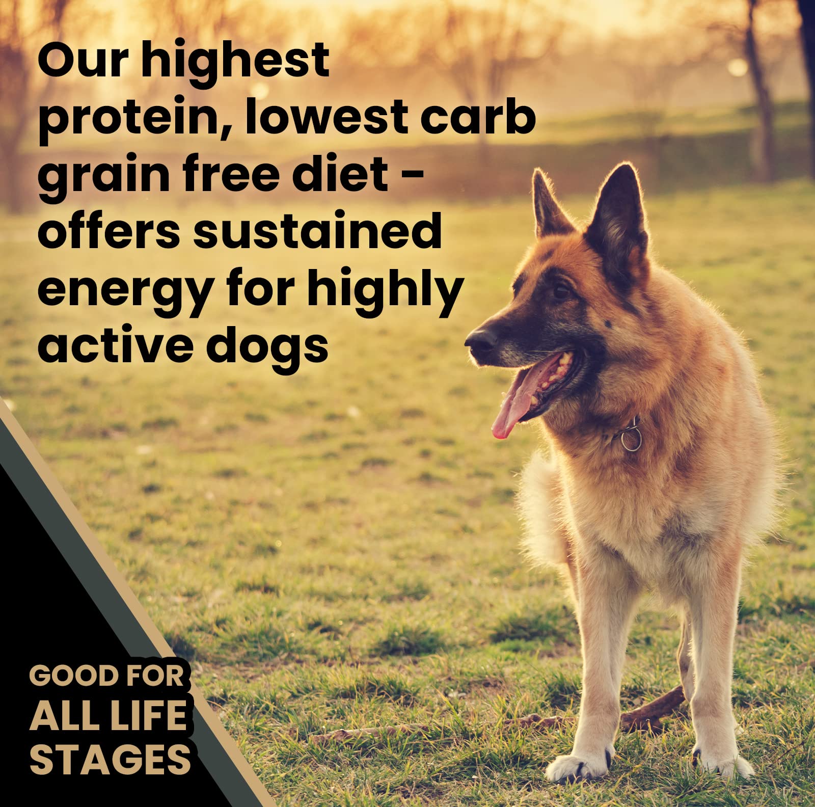 VICTOR Super Premium Dog Food – Grain Free Ultra Pro Kibble – High Protein, Low Carb for Active Dogs – 42% Protein Kibble for Sporting Dogs of All Breeds & Sizes, 30 lb
