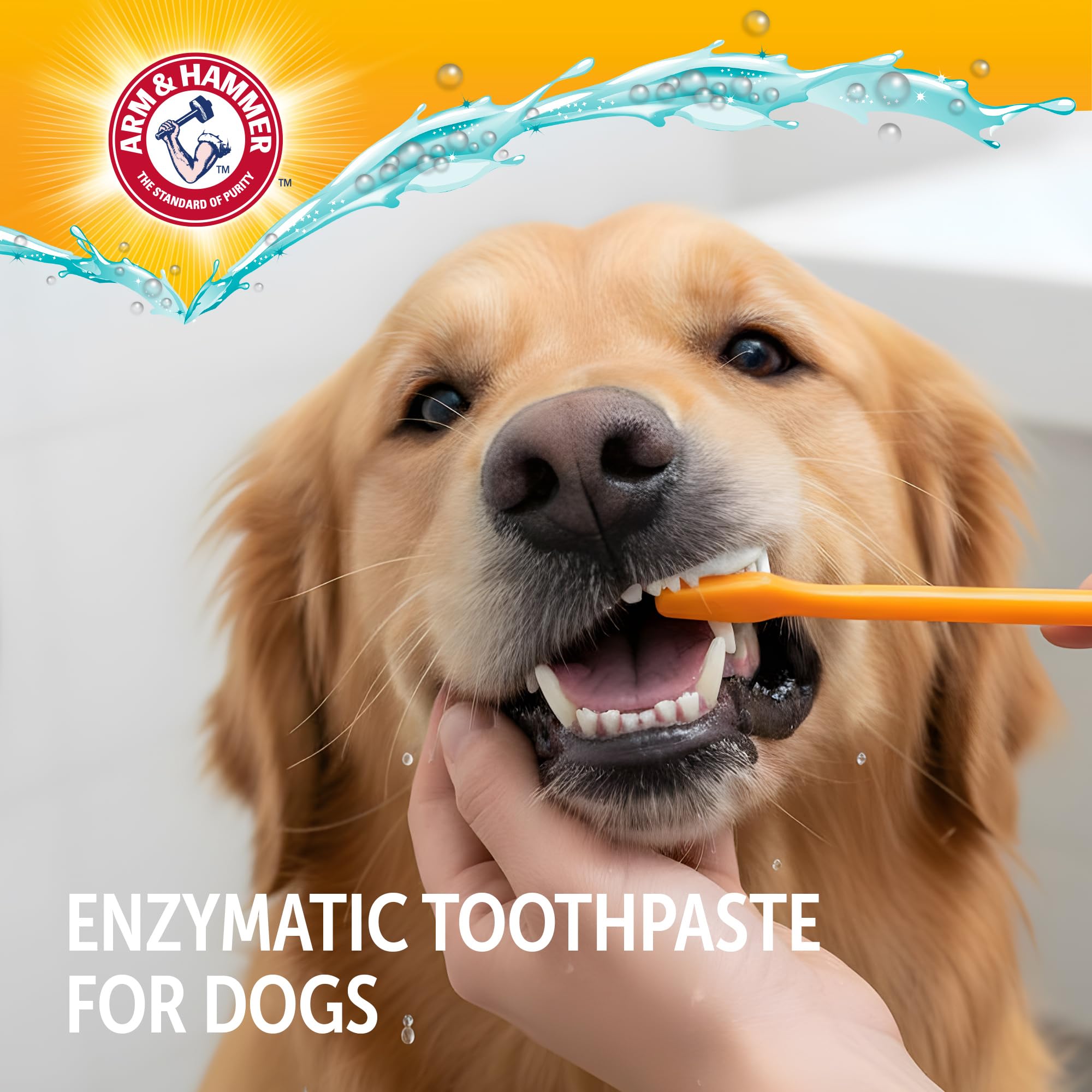 Arm & Hammer Complete Care Enzymatic Dog Toothpaste with Baking Soda and Calcium, Fluoride-Free Chicken Flavor for Plaque, Tartar, and Fresh Breath, 6.2 Oz Value Size