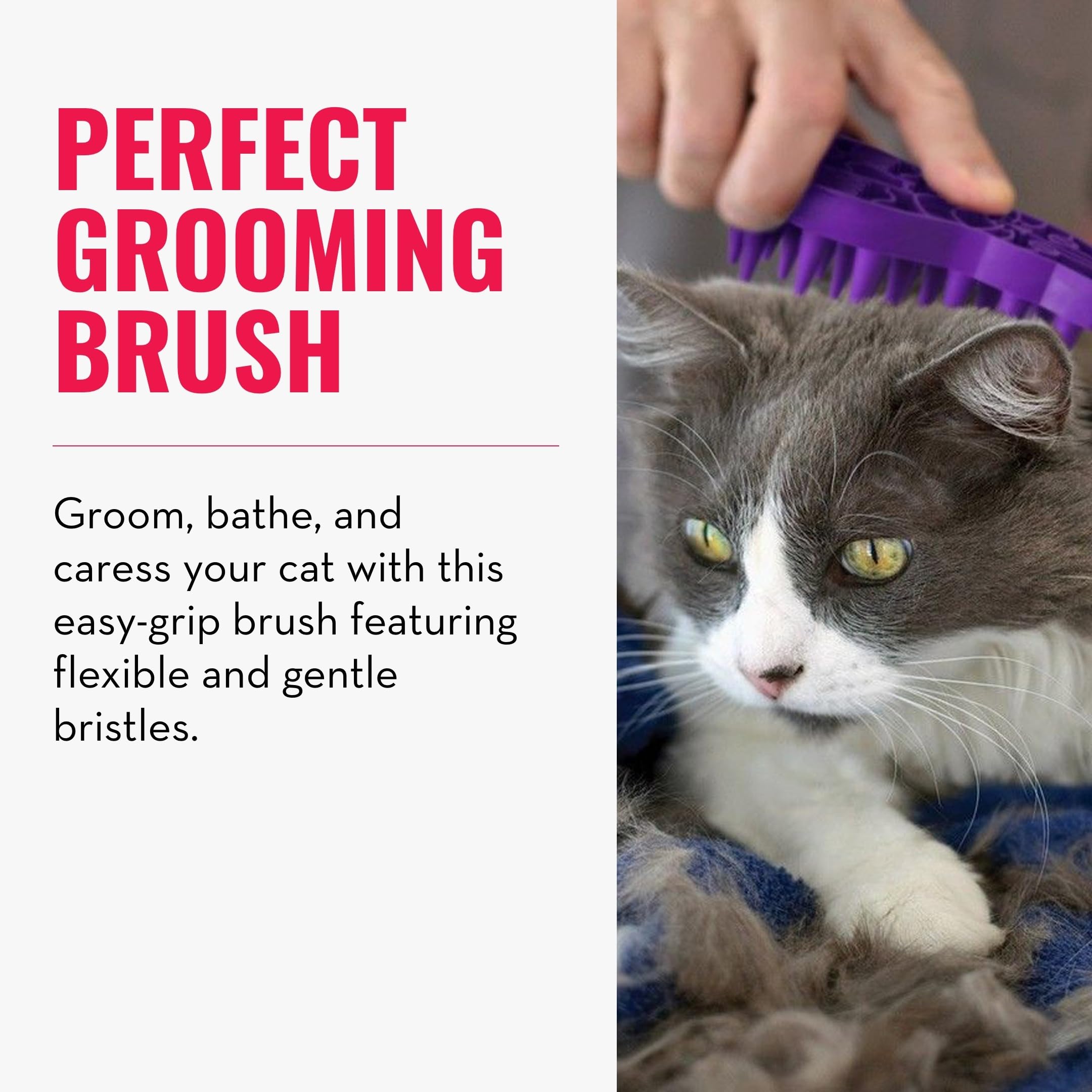 KONG Cat ZoomGroom Brush - Soft Rubber Grooming Tool for Brushing, Massaging, Bathing, and Reducing Hairballs