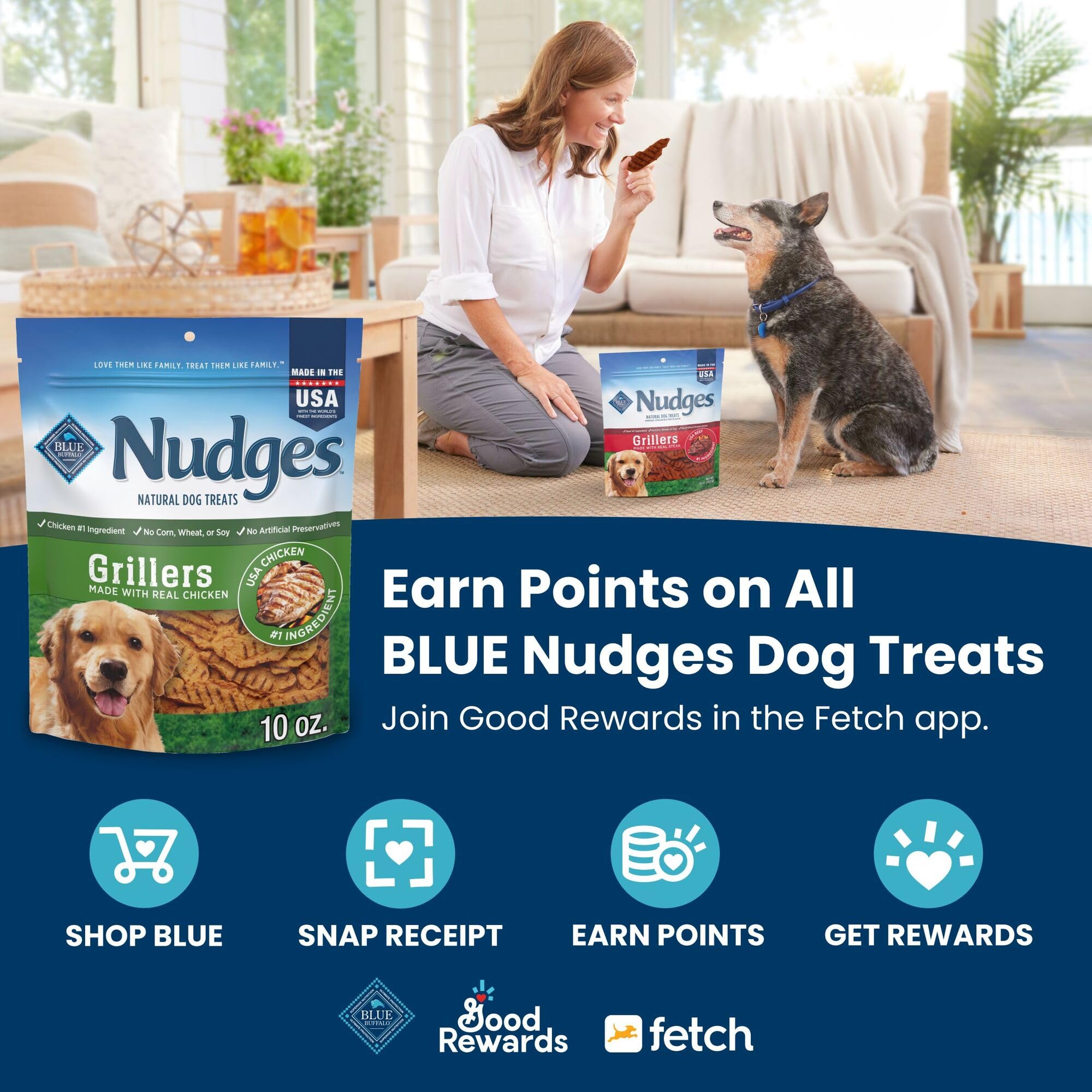 Blue Buffalo Nudges Grillers Natural Dog Treats, Made in the USA with Real Steak, 5-oz Bag