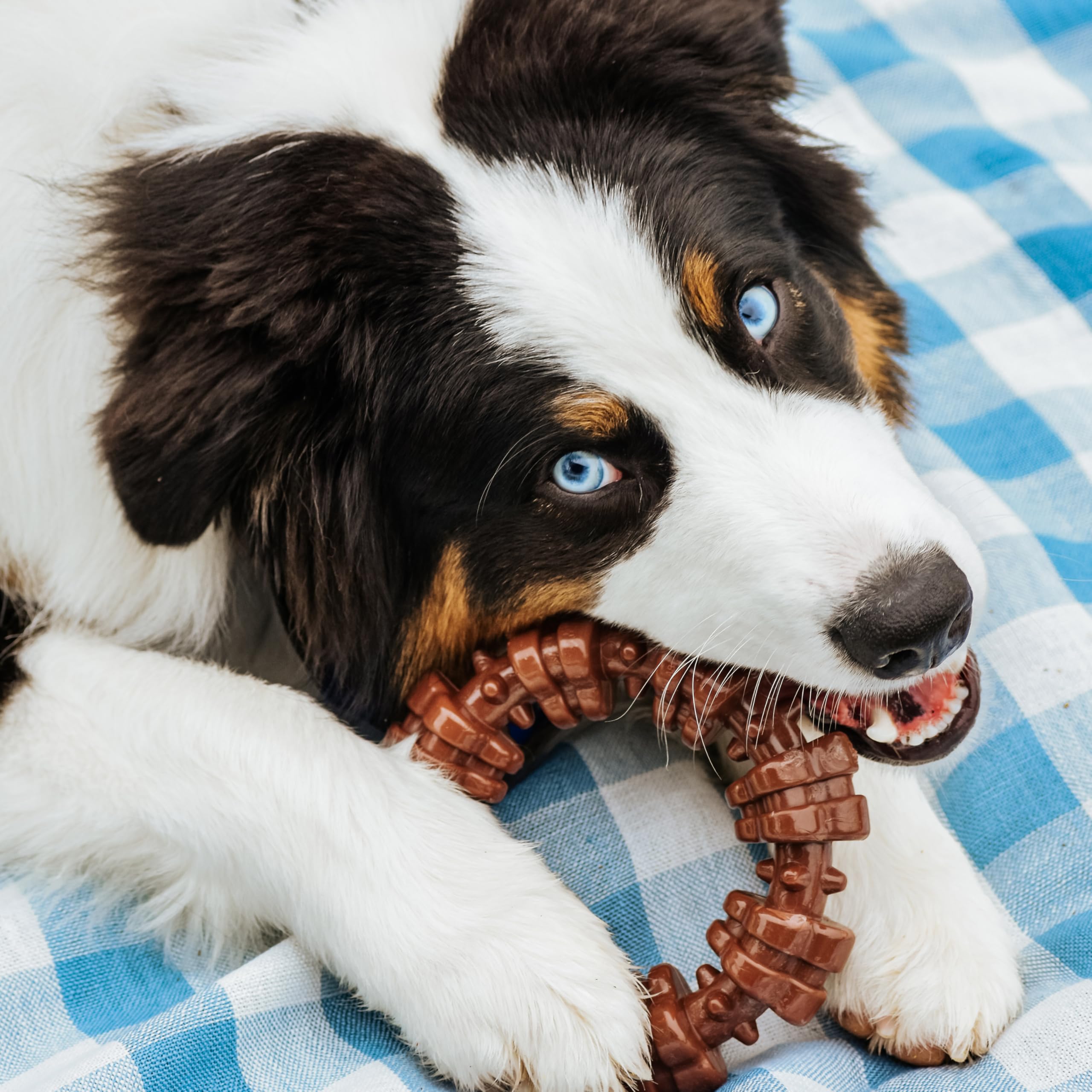 Nylabone Textured Ring Power Chew Toy for Large Dogs, Durable Dog Toys for Aggressive Chewers, Strong Dog Chew Bones To Keep Them Busy, Flavor Medley, X-Large - 50+ lbs, 1 Count