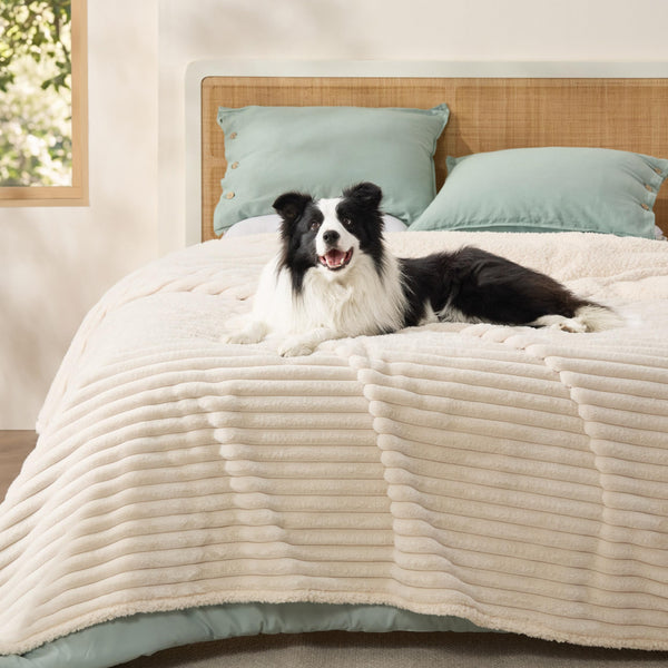 Bedsure ComfyFleece™ Waterproof Blanket for Bed - Soft Plush Dog Blankets for Large Dogs Corduroy Fleece Washable, Cozy Calming Reversible Furniture Protection for Pet Cat,86"x90", Queen,Cream
