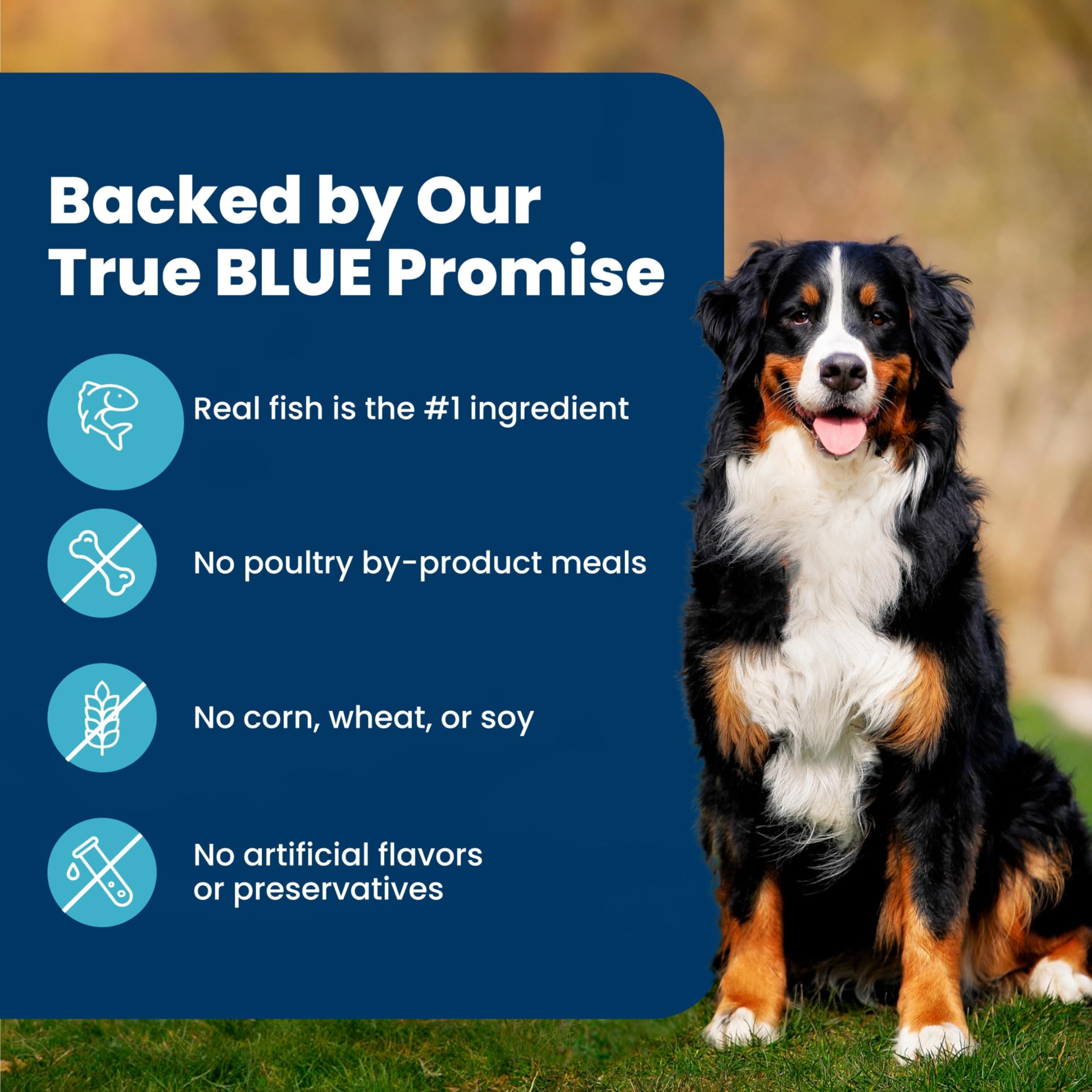Blue Buffalo Life Protection Formula Fish & Brown Rice Adult Dry Dog Food, Supports Immunity with Antioxidant-Rich LifeSource Bits, Promotes Healthy Muscle Development, Skin & Coat Health, 30 lbs.