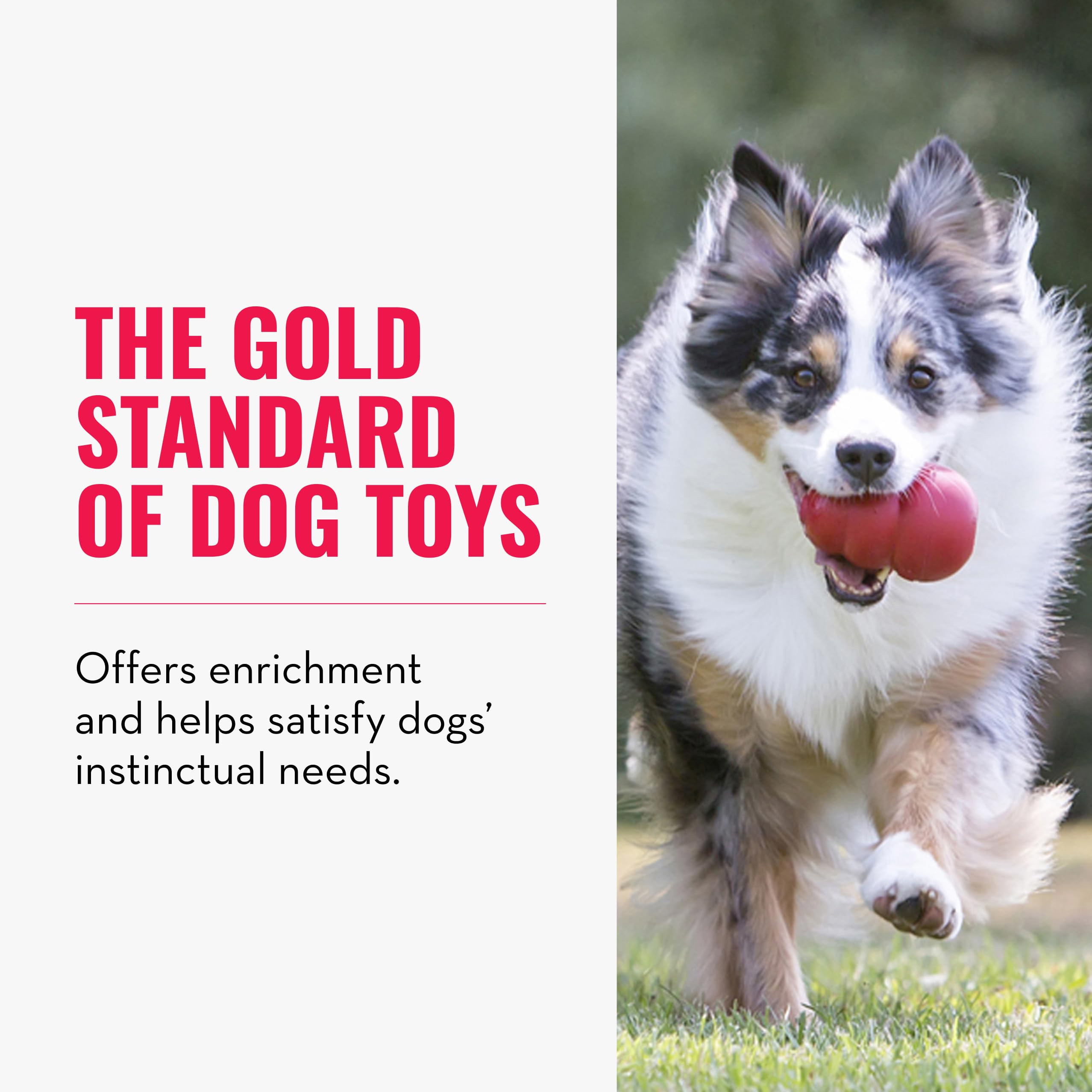 KONG Classic Stuffable Dog Toy - Fetch & Chew Toy for Dogs - Treat-Filling Capabilities & Erratic Bounce for Extended Play Time - Durable Natural Rubber Material - for Small Dogs