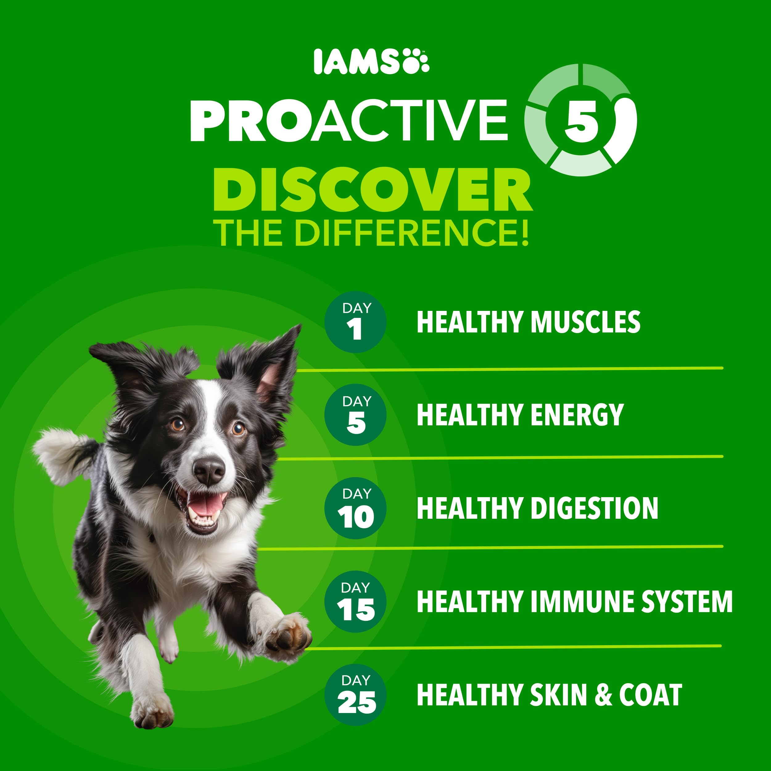 IAMS Proactive Health Minichunks Premium Dry Dog Food, Adult Dog Food Dry Recipe, 7 lb. Bag
