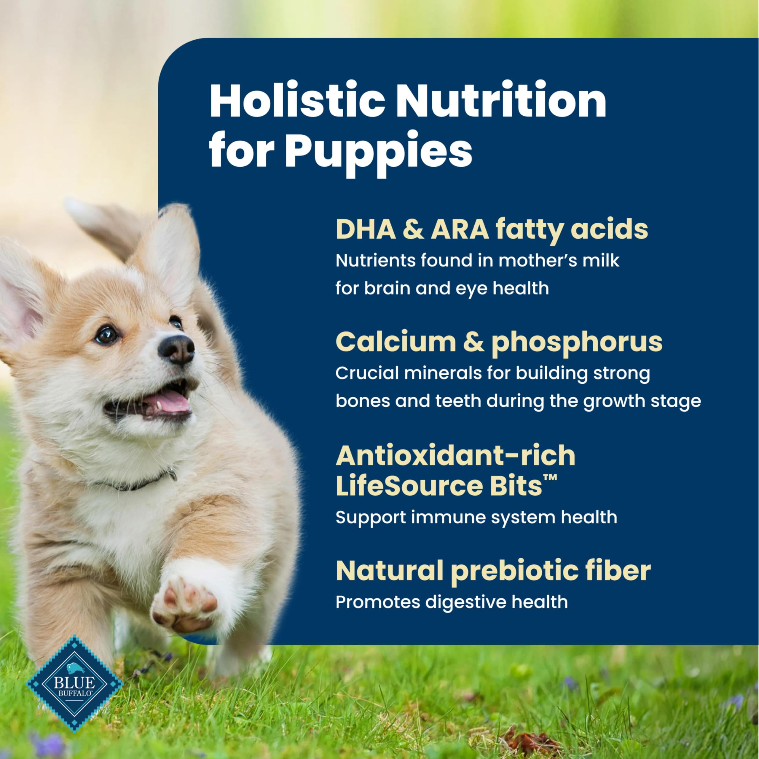 Blue Buffalo Life Protection Formula Chicken & Brown Rice Puppy Dry Dog Food with DHA & ARA, Supports Immunity with Antioxidant-Rich LifeSource Bits, Promotes Healthy Muscles & Strong Bones, 5 lbs.