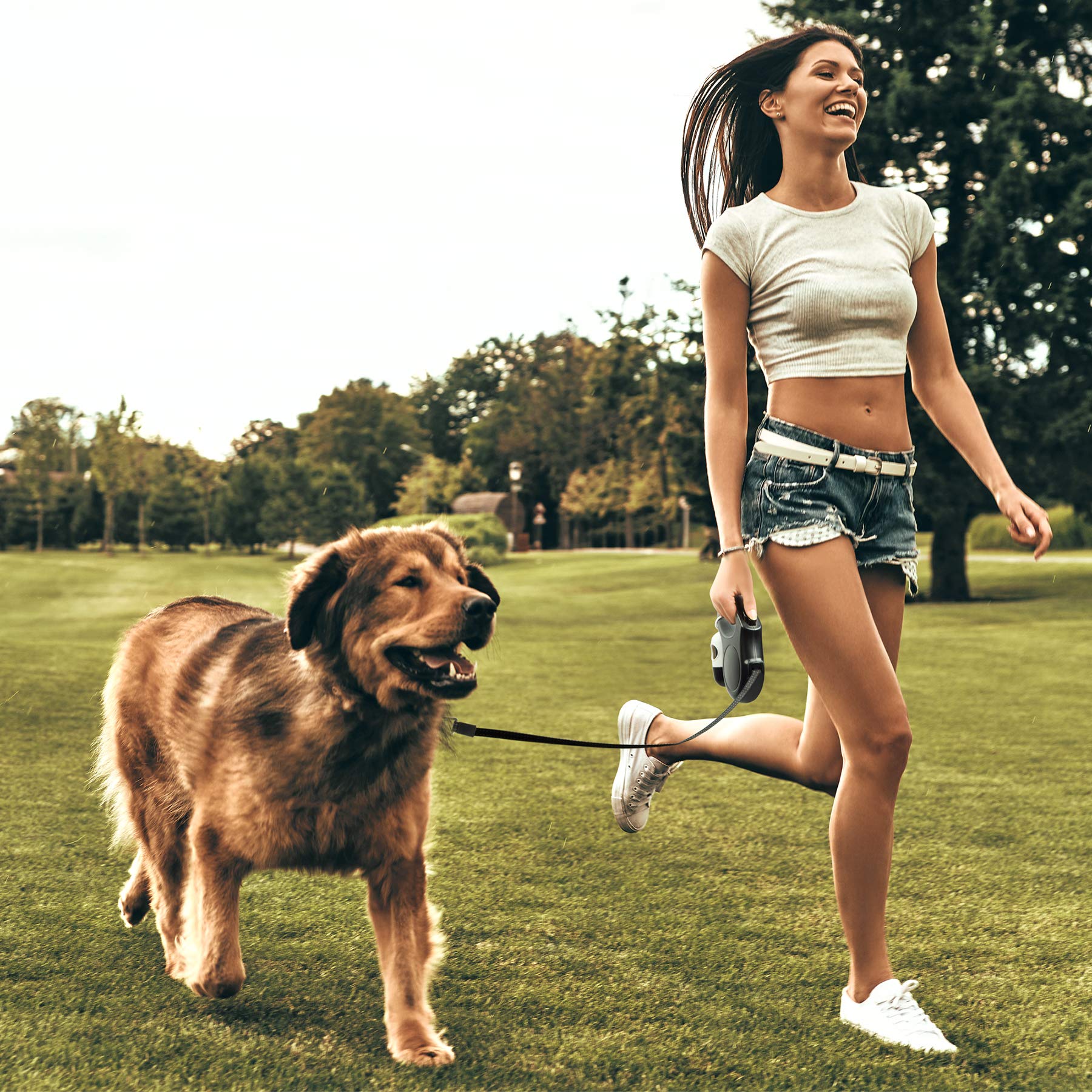 Fida Retractable Dog Leash with Dispenser and Poop Bags, 16 ft Pet Walking Leash for Small Dog or Cat up to 26 lbs, Anti-Slip Handle, Tangle-Free, Reflective Nylon Tape (S, Navy Blue)