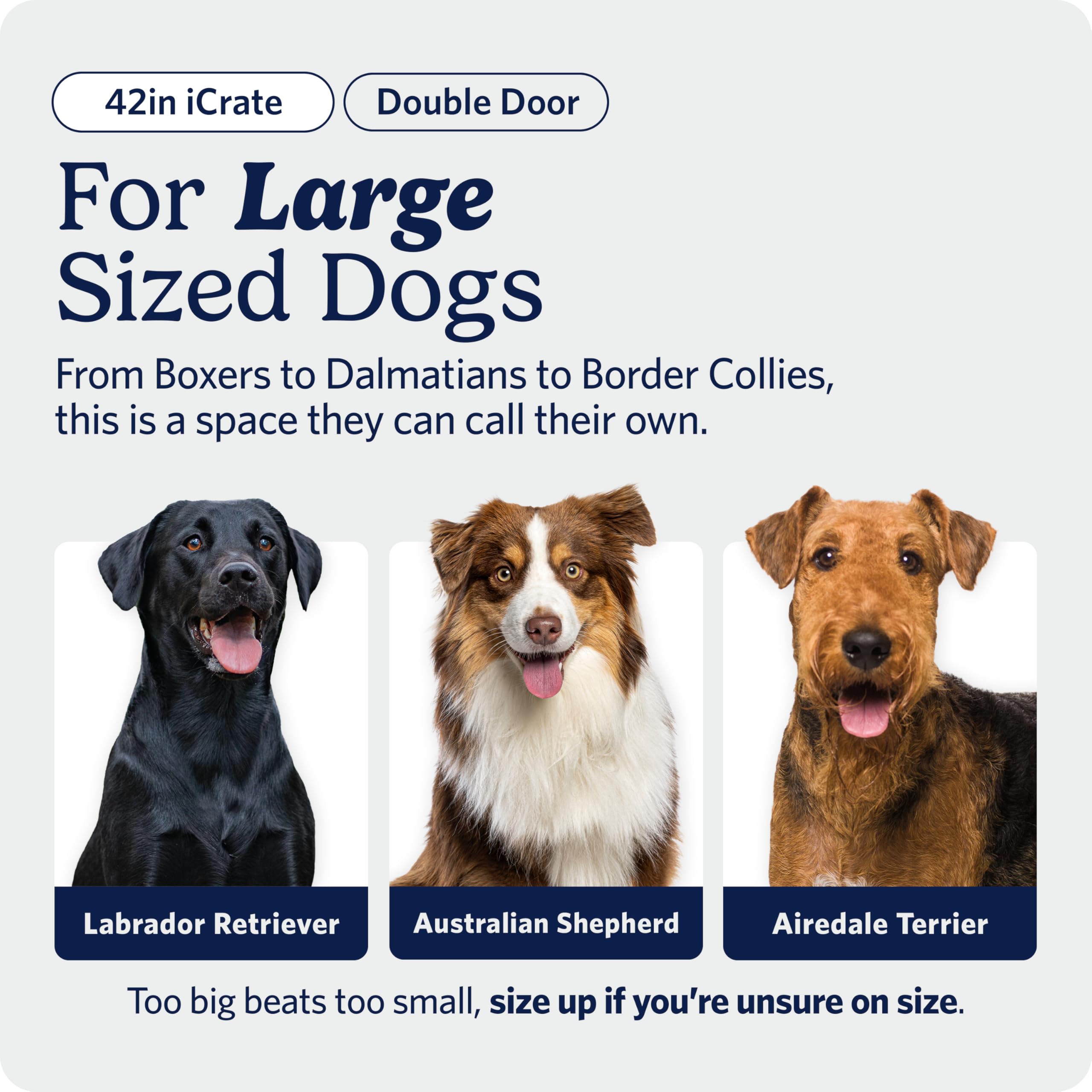 MidWest Homes for Pets 42-Inch iCrate for Large Breeds, 71-90 lbs, Single Door Folding Dog Crate with Divider Panel, Leak-Proof Tray & Secure Latch, Portable, Durable & Easy to Assemble