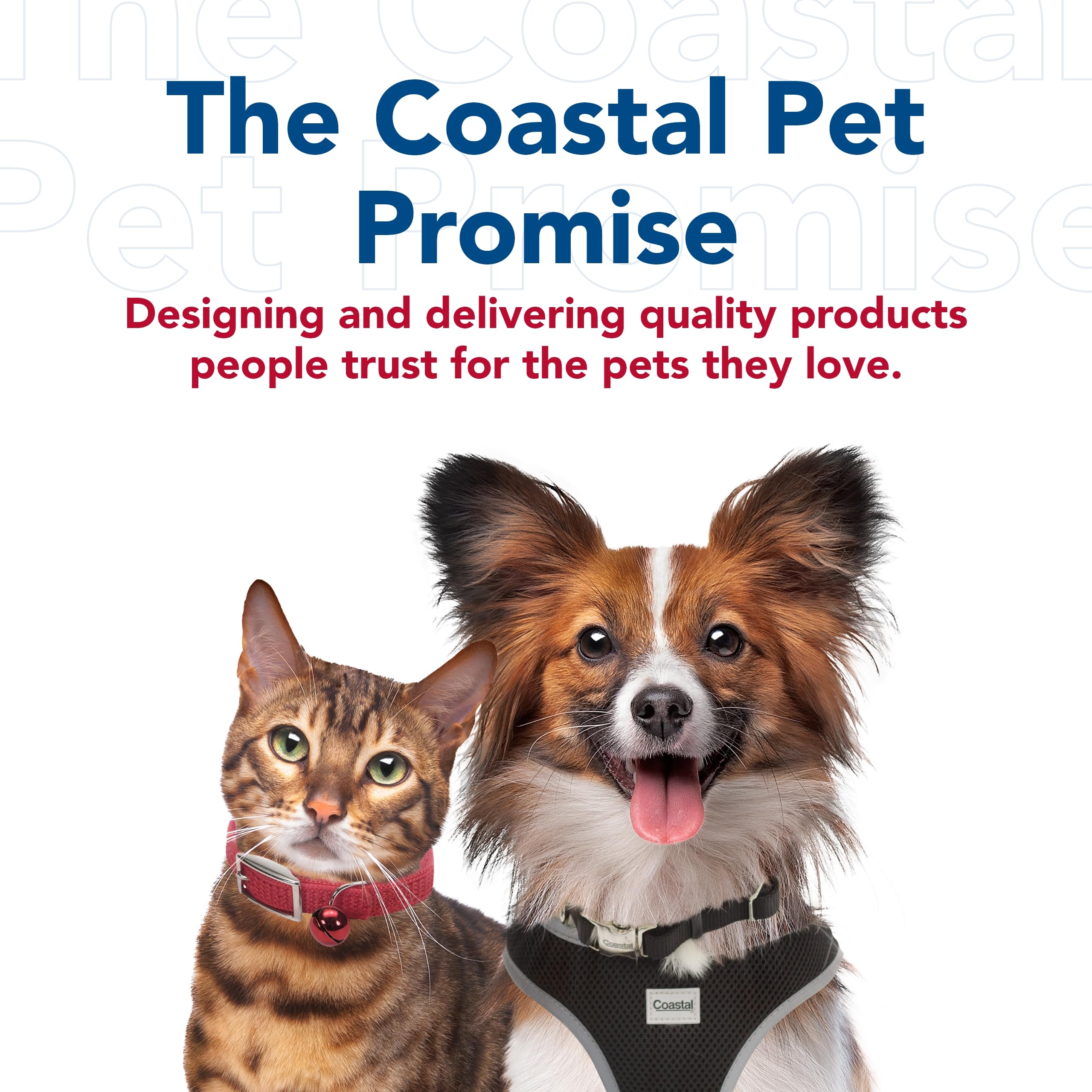 Coastal Pet Safari Professional Dog Nail Trimmer - Dog Nail Clippers for Grooming - Dog Claw Care for Small & Large Dogs - Nail Trimmer - Pet Supplies for Dog Grooming - Standard, 5" x 1.5"