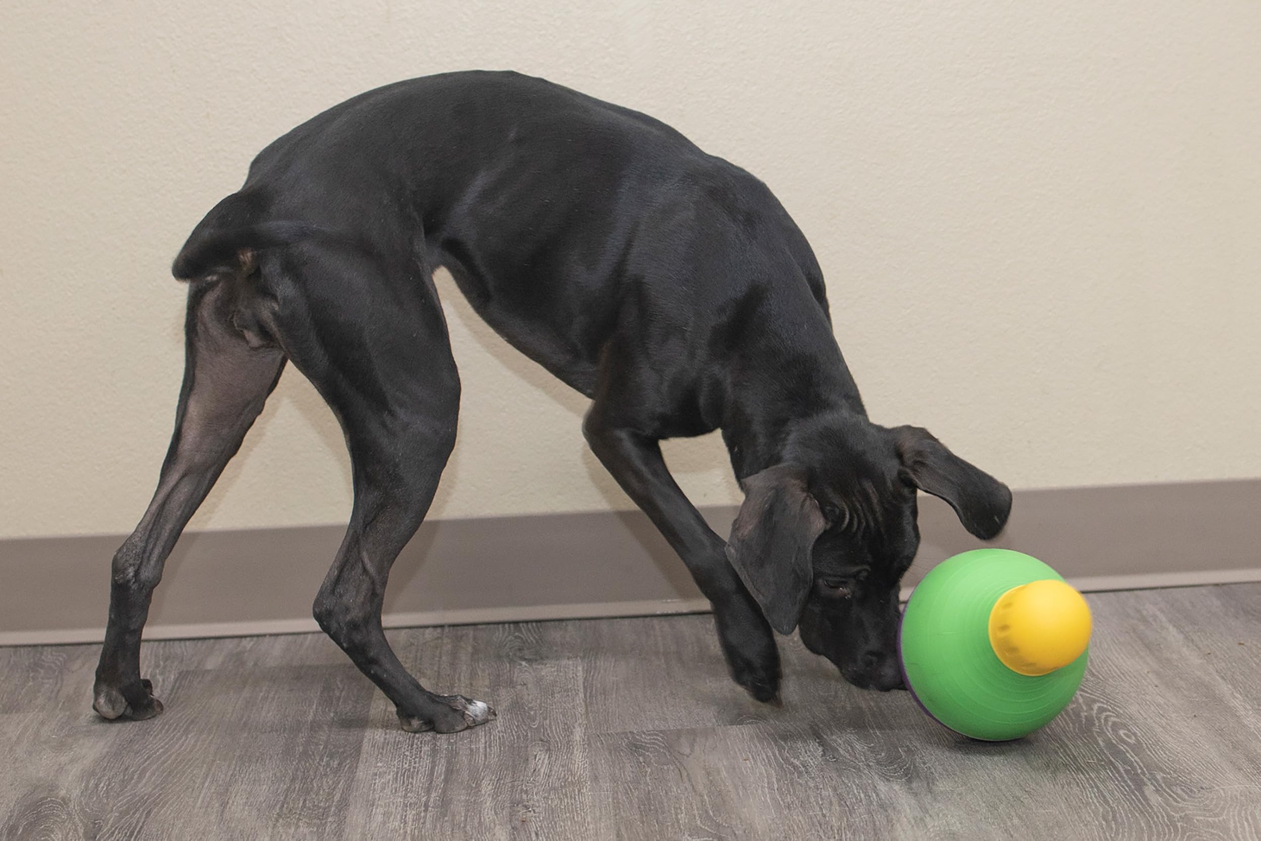StarMark Bob-A-Lot Interactive Dog Toy, Small, Green (SMBALS)