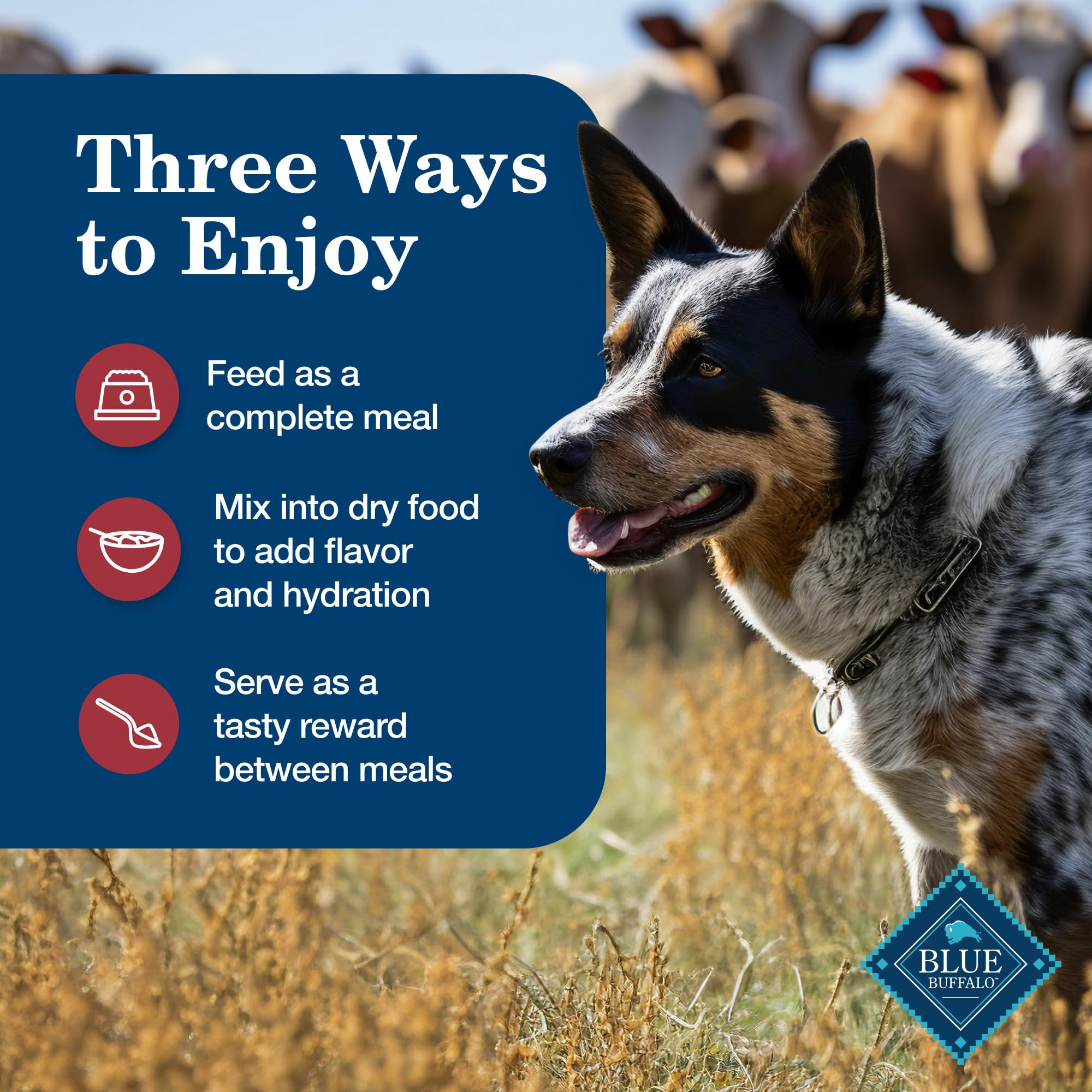 Blue Buffalo Homestyle Recipe Adult Wet Dog Food, Made with Natural Ingredients, Beef Dinner with Garden Vegetables, 12.5-oz Cans (12 Count)