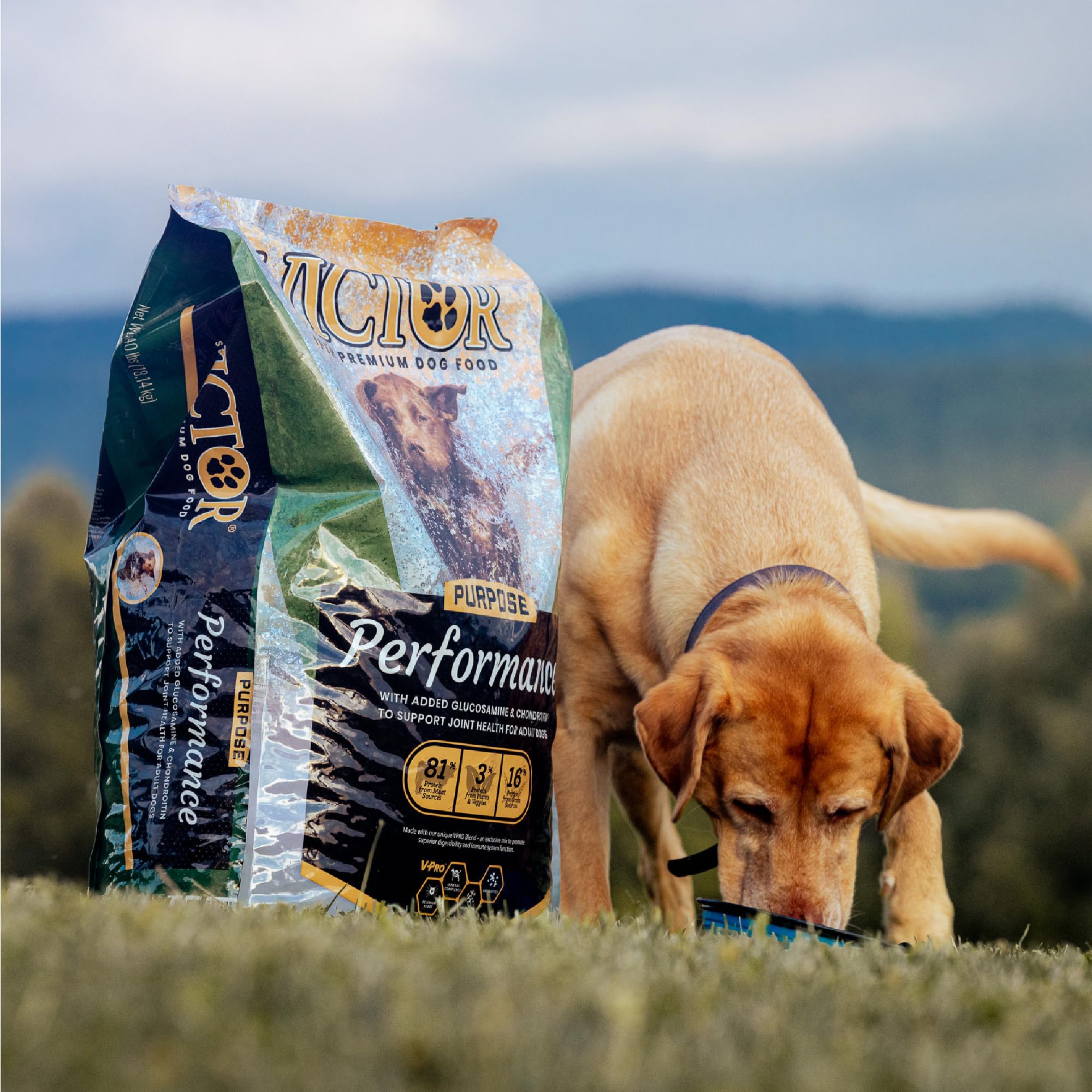VICTOR Super Premium Dog Food – Performance Dry Dog Food from Beef, Chicken and Pork Meal – 26% Protein for Active Adult Dogs – Includes Glucosamine and Chondroitin for Hip and Joint Health, 40lbs