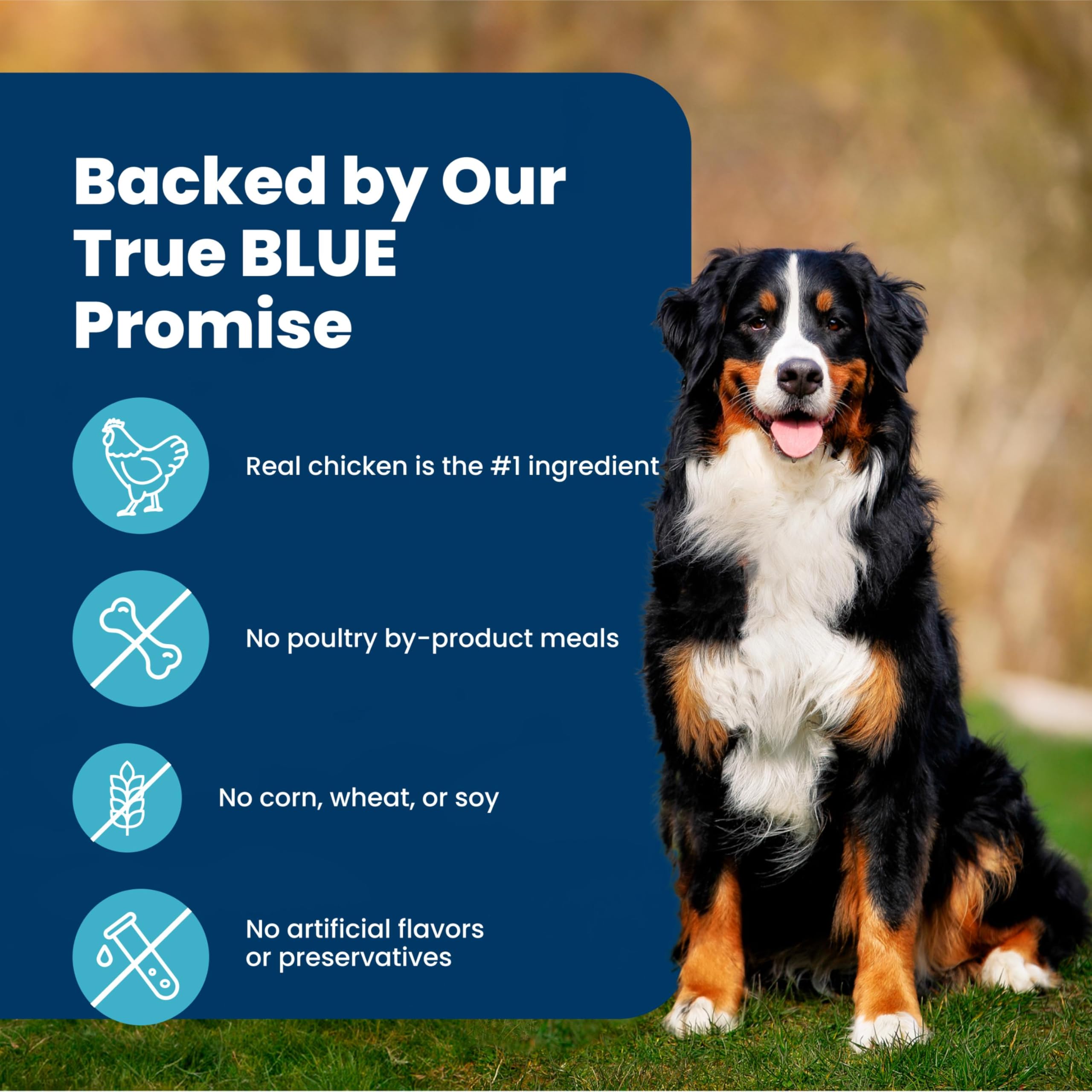 Blue Buffalo Life Protection Formula Chicken & Brown Rice Healthy Weight Large Breed Adult Dry Dog Food, Supports Immunity With LifeSource Bits, Promotes Healthy Lean Muscles & Weight Control, 30 lbs.