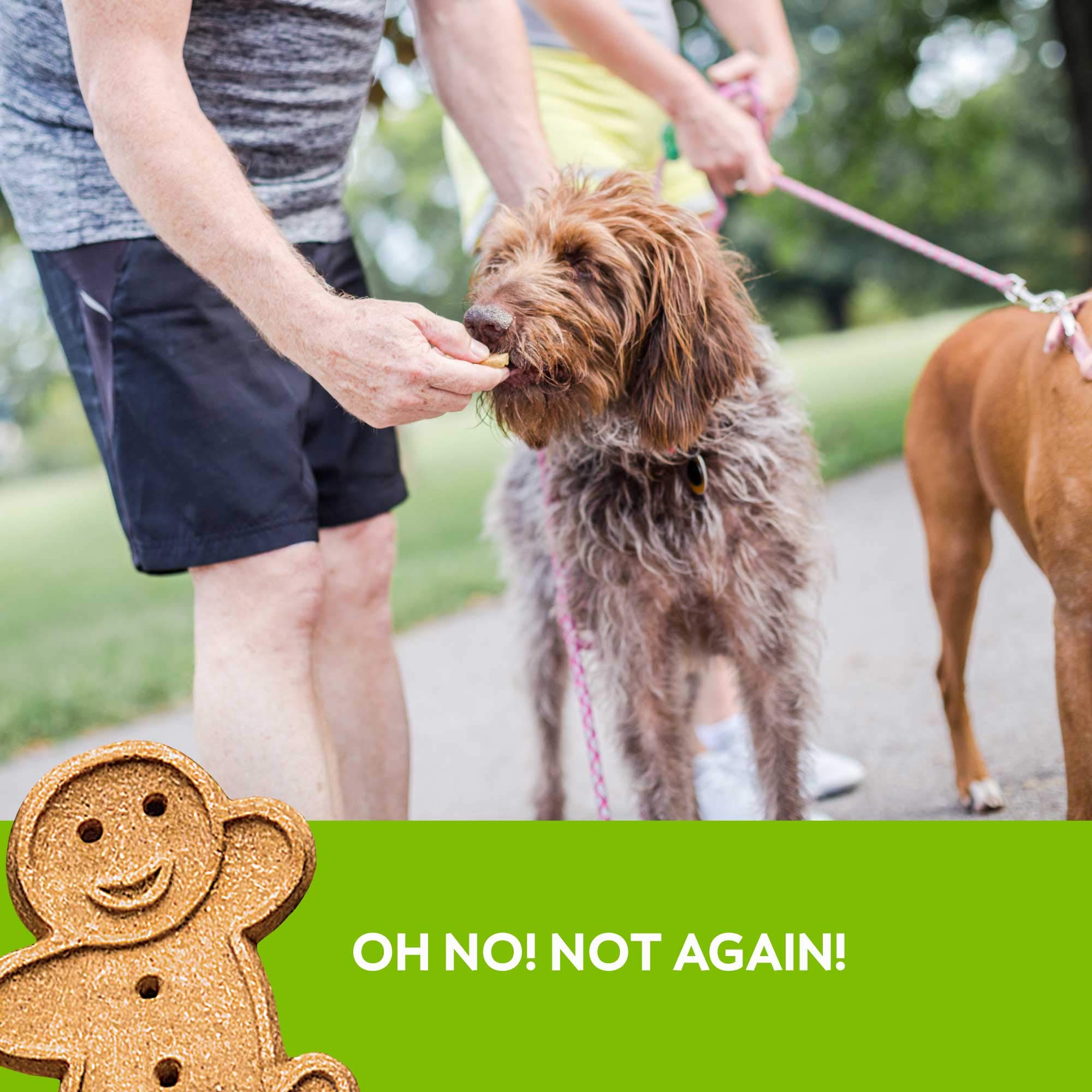 Buddy Biscuits Oven Baked Healthy Dog Treats, Crunchy, Whole Grain and Baked in The USA, 16 oz, 6 Pack