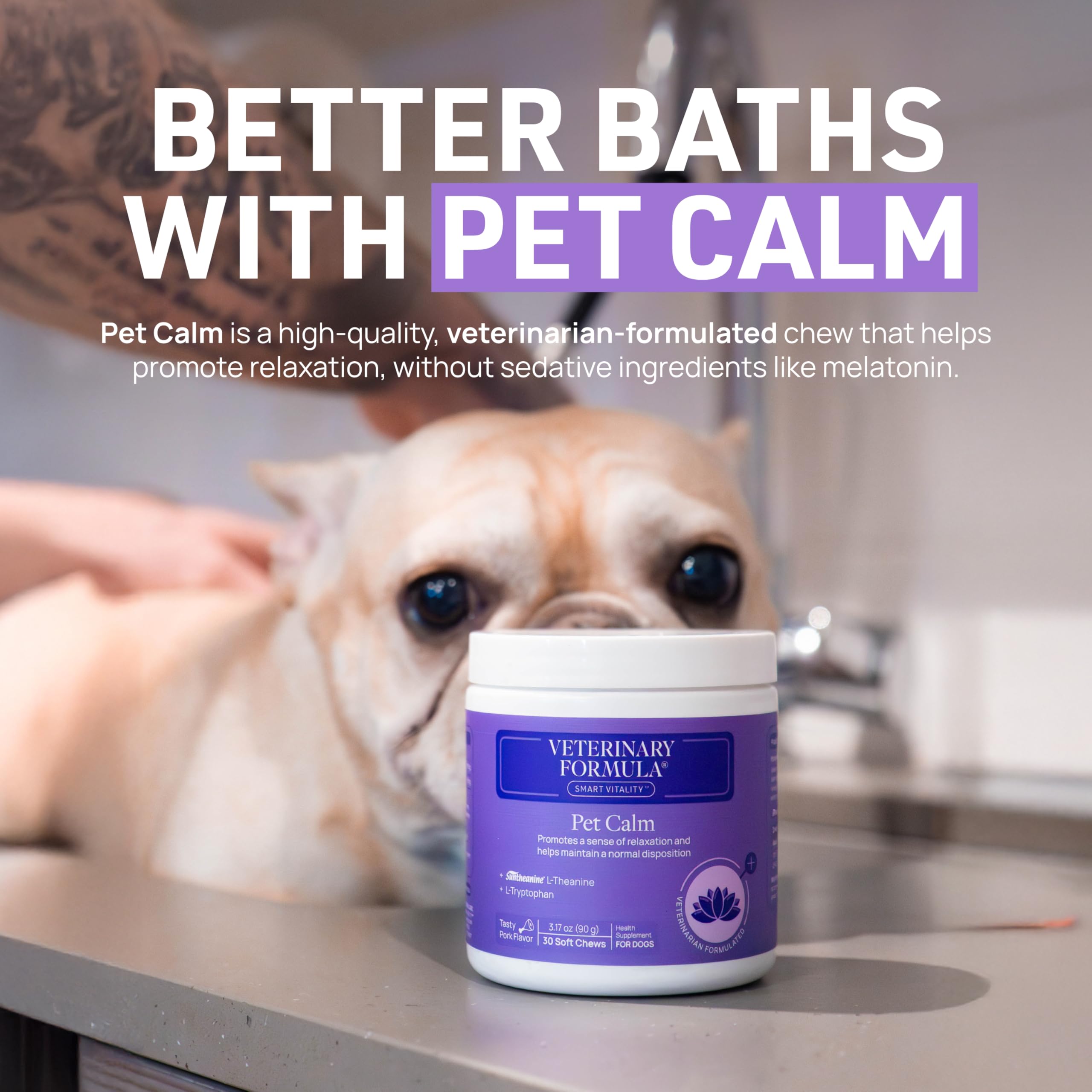 Veterinary Formula Clinical Care – Antiparasitic & Antiseborrheic Medicated Dog Shampoo – Supports Dry, Irritated Skin and Helps Soothe Occasional Itchy Spots – 16 oz