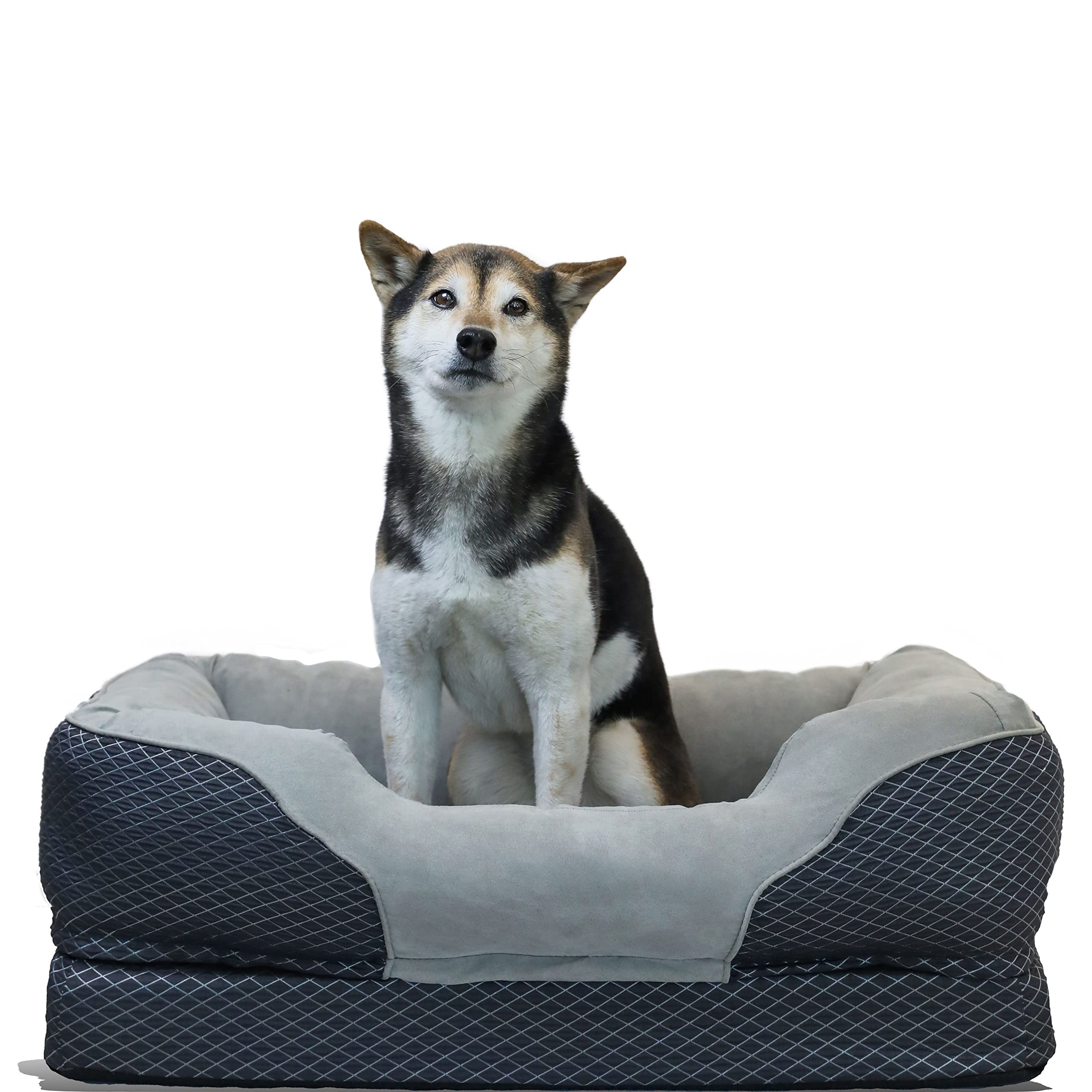 BarksBar Snuggly Sleeper Large Gray Diamond Orthopedic Dog Bed with Solid Orthopedic Foam, Soft Cotton Bolster, and Ultra Soft Plush Sleeping Space - 40 x 30 Inches