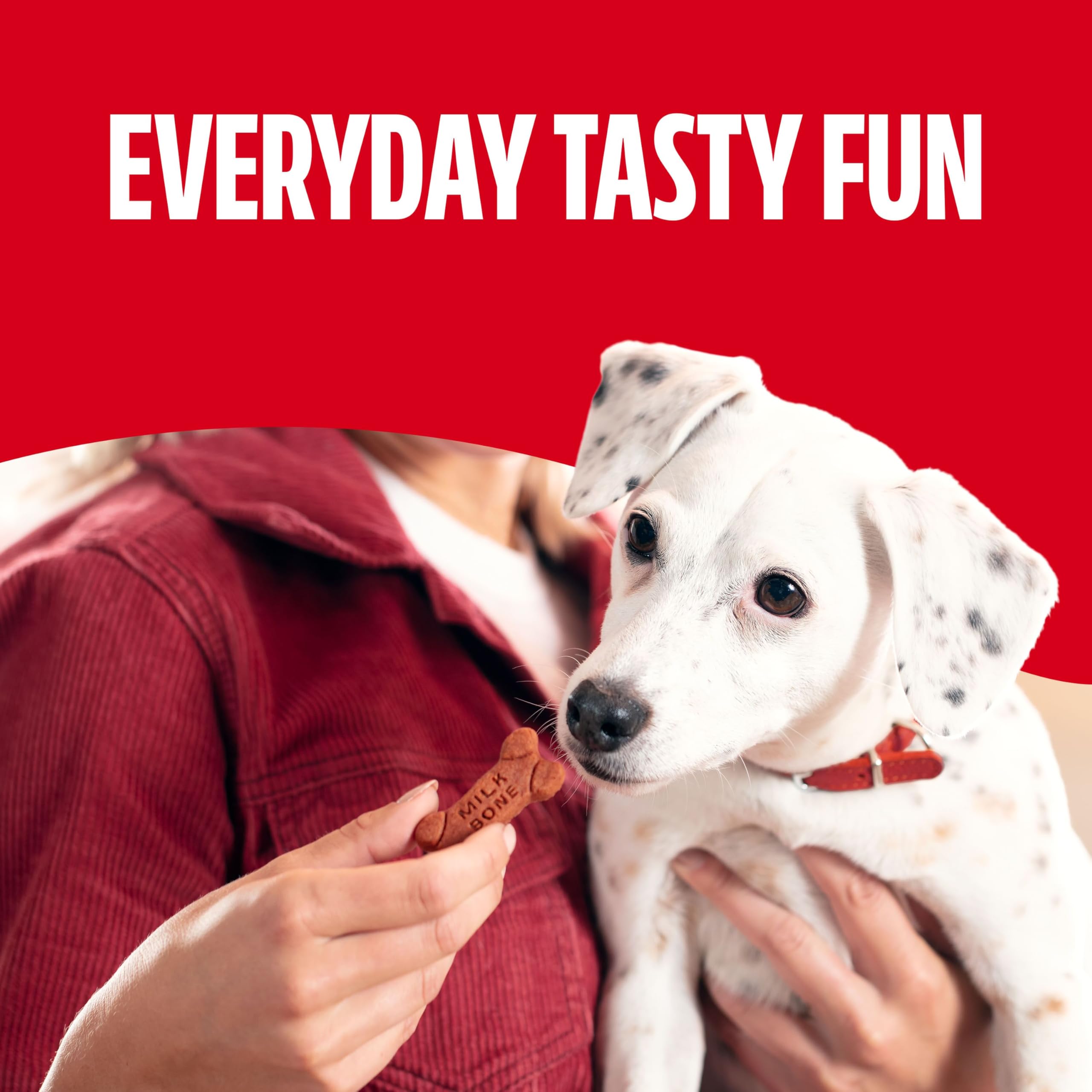 Milk-Bone Soft & Chewy Dog Treats, Made with Real Beef & Filet Mignon, 25 Ounce Canister