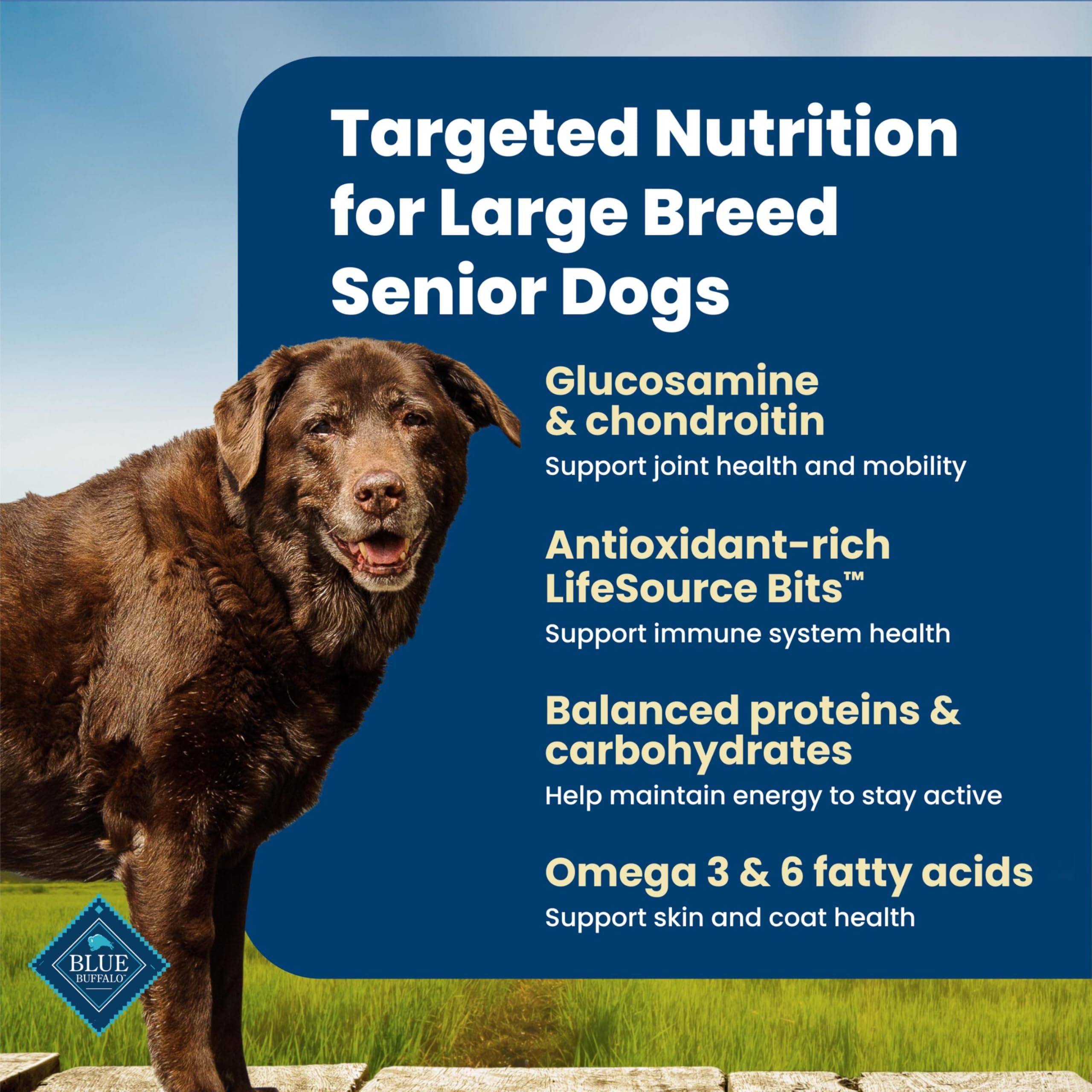 Blue Buffalo Life Protection Formula Chicken & Brown Rice Large Breed Senior Dry Dog Food, Supports Immunity With LifeSource Bits, Promotes Healthy Muscles & Joint Health, Skin & Coat Health, 30 lbs.