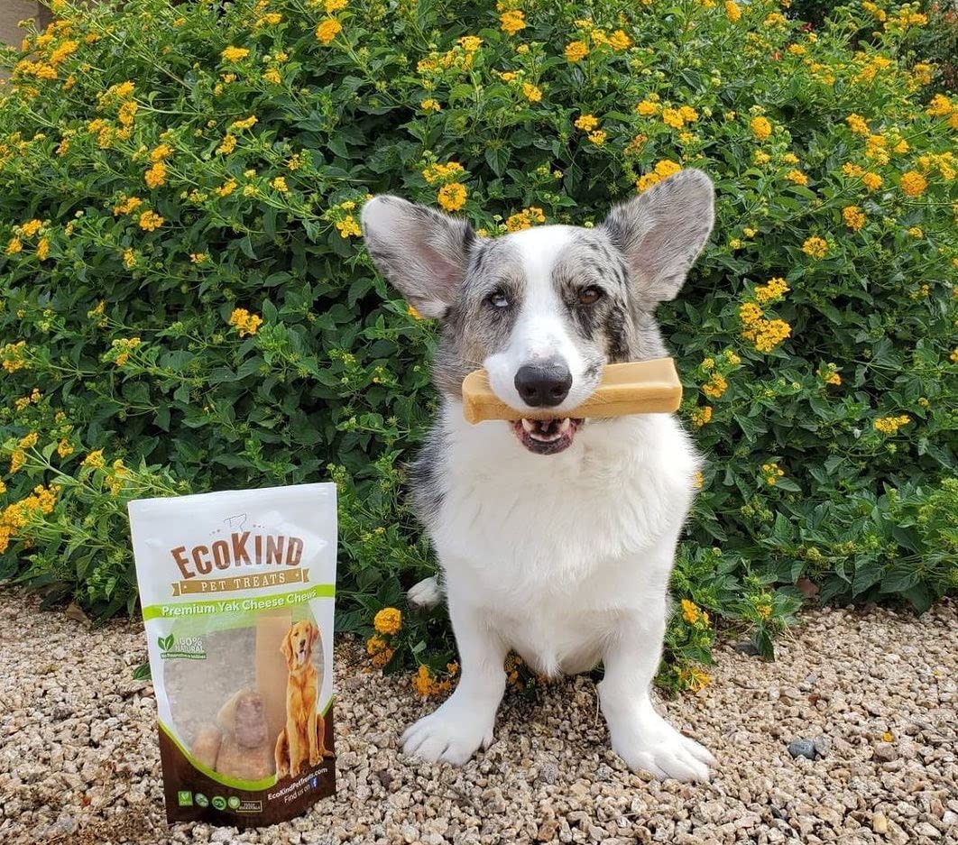 EcoKind Yak Cheese Himalayan Dog Chews, Yak Chews for Large Dogs, Long Lasting Bone for Aggressive Chewers, 3 Ingredients, Natural High Protein Treats, No Additives, Lactose Free, Large - 4 Chews