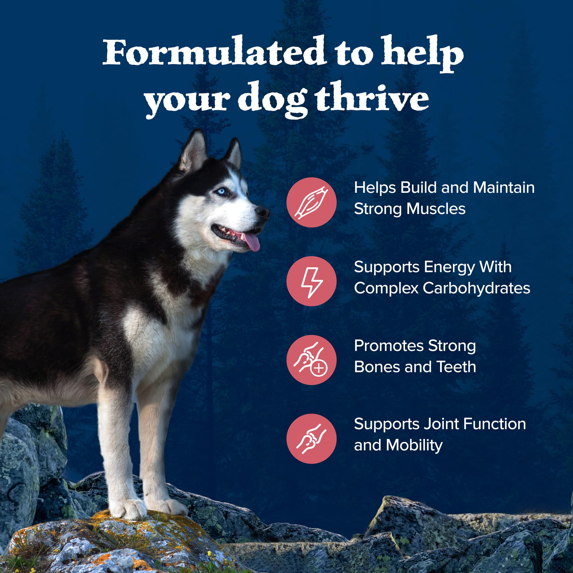 Blue Buffalo Wilderness Natural High-Protein Dry Food for Adult Dogs, with Wholesome Grains, Salmon, 24-lb. Bag