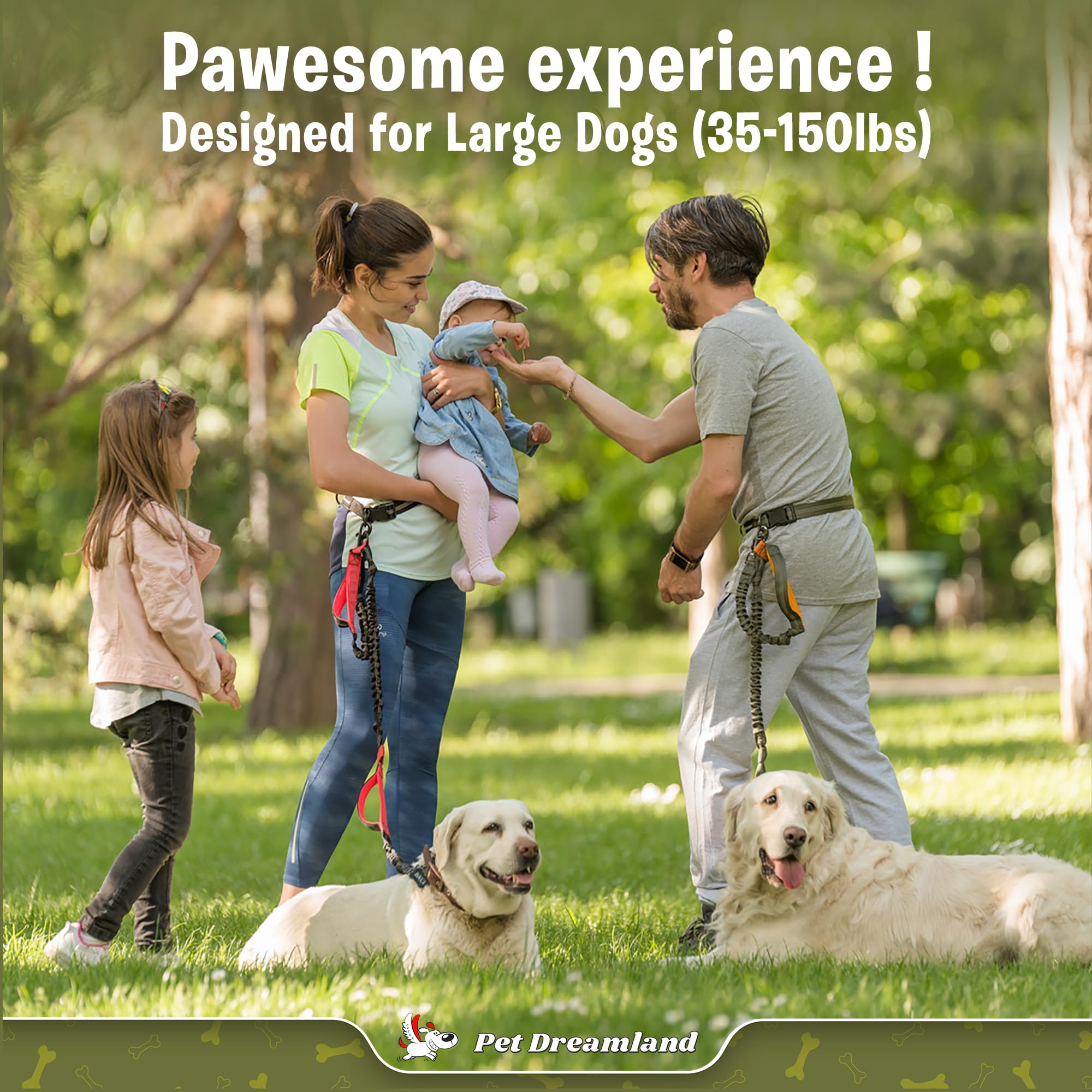 Pet Dreamland Exquisite Hands Free Dog Leash for Large Dogs. Ultimate Comfort & Freedom for Running, Walking, Hiking. Premium Quality, Durable & Versatile Waist Leash. Your Dog Will Love It.