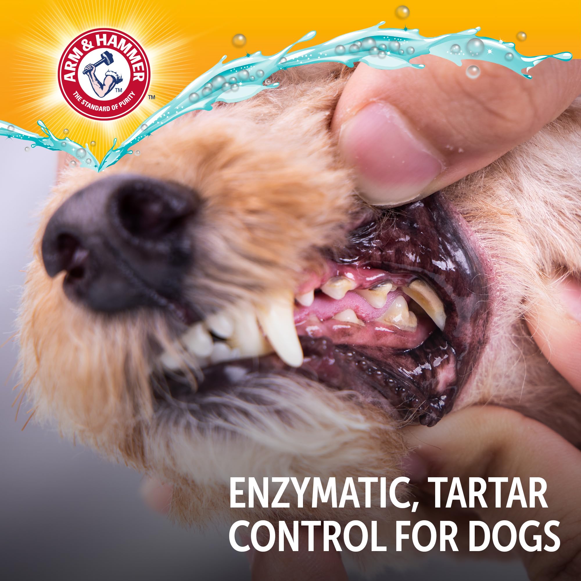 Arm & Hammer Complete Care Enzymatic Dog Toothpaste with Baking Soda and Calcium, Fluoride-Free Chicken Flavor for Plaque, Tartar, and Fresh Breath, 6.2 Oz Value Size