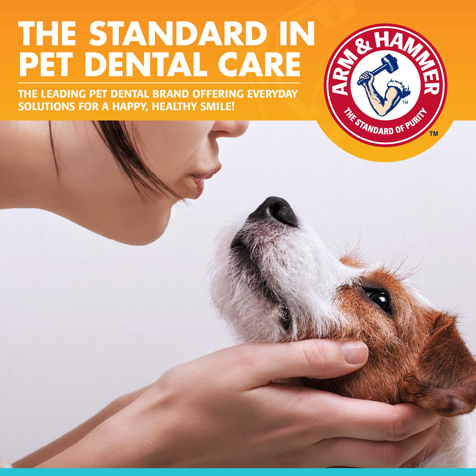 Arm & Hammer for Pets Fresh Breath Enzymatic Dog Toothpaste, Vanilla Ginger Flavor, Safe for Puppies and Adult Dogs, Daily Baking Soda Dental Gel to Eliminate Bad Breath, 2.5 Oz
