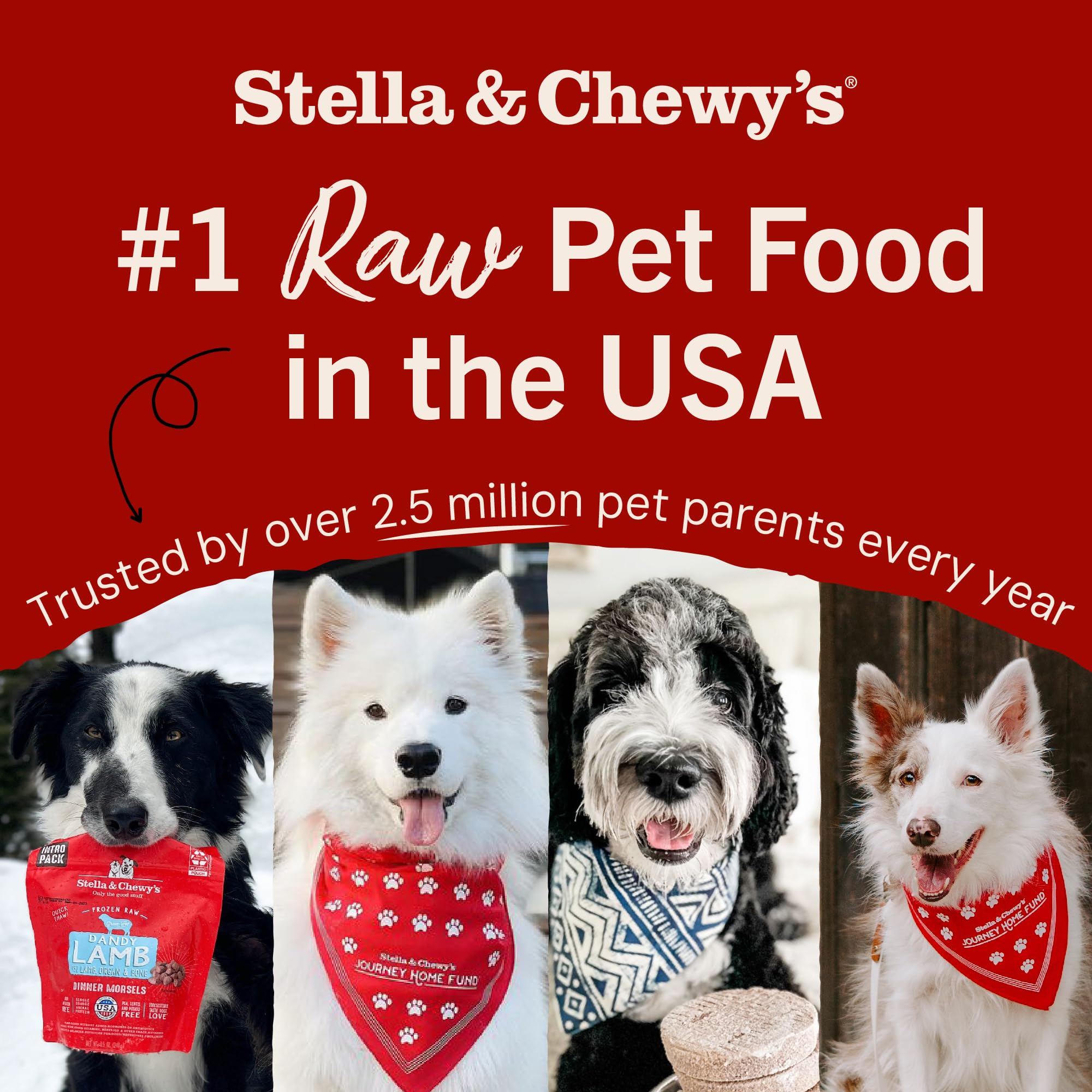 Stella & Chewy's Freeze Dried Raw Dinner Patties – Crafted for Puppies – Grain Free, Protein Rich Perfectly Puppy Chicken & Salmon Recipe – 14 oz Bag