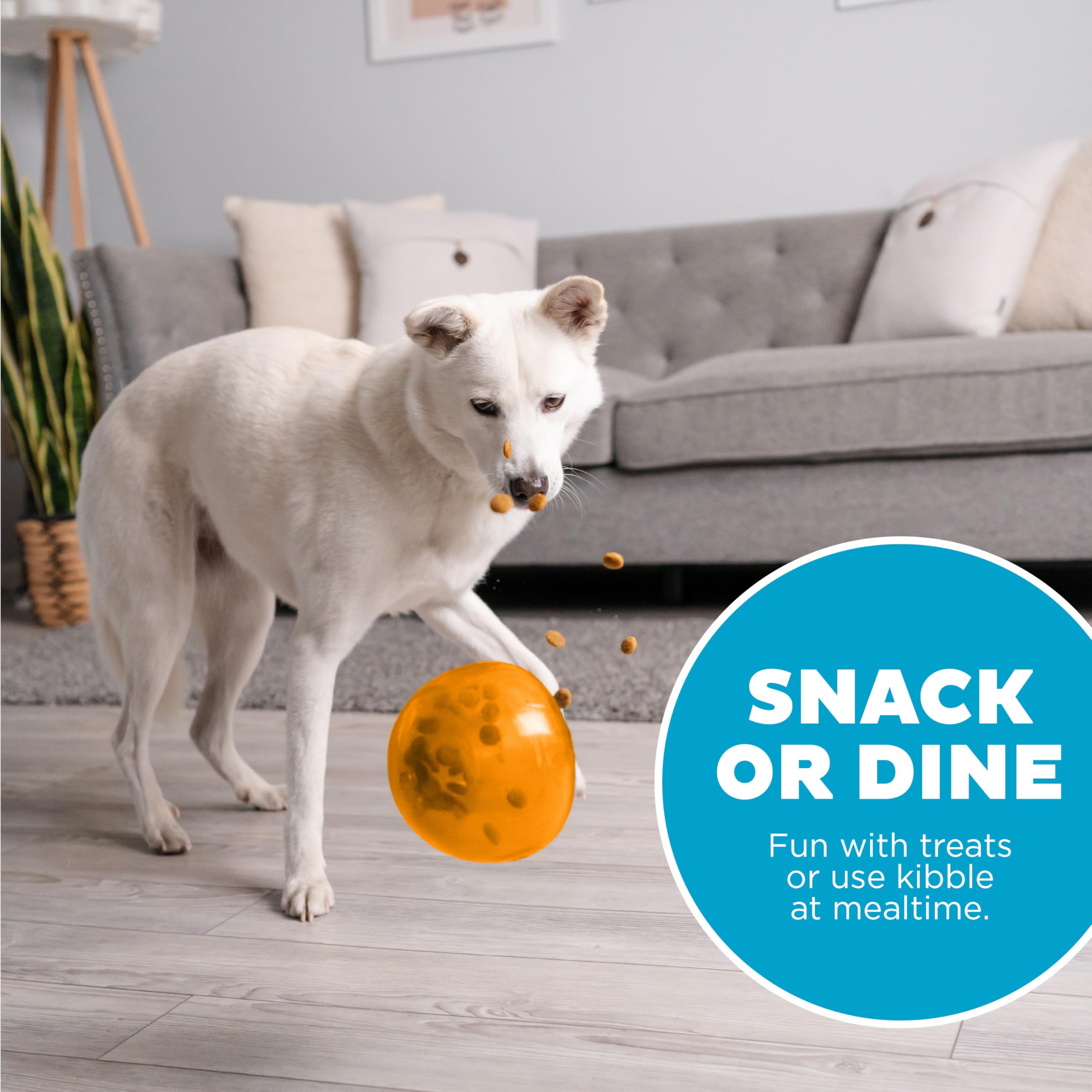 Outward Hound by Planet Dog Snoop Dog Toy – Treat‑Dispenser Puzzle Ball, Interactive Slow Feeder, Medium to Large Dogs, Bouncy & Mint-Infused, Orange, 5"