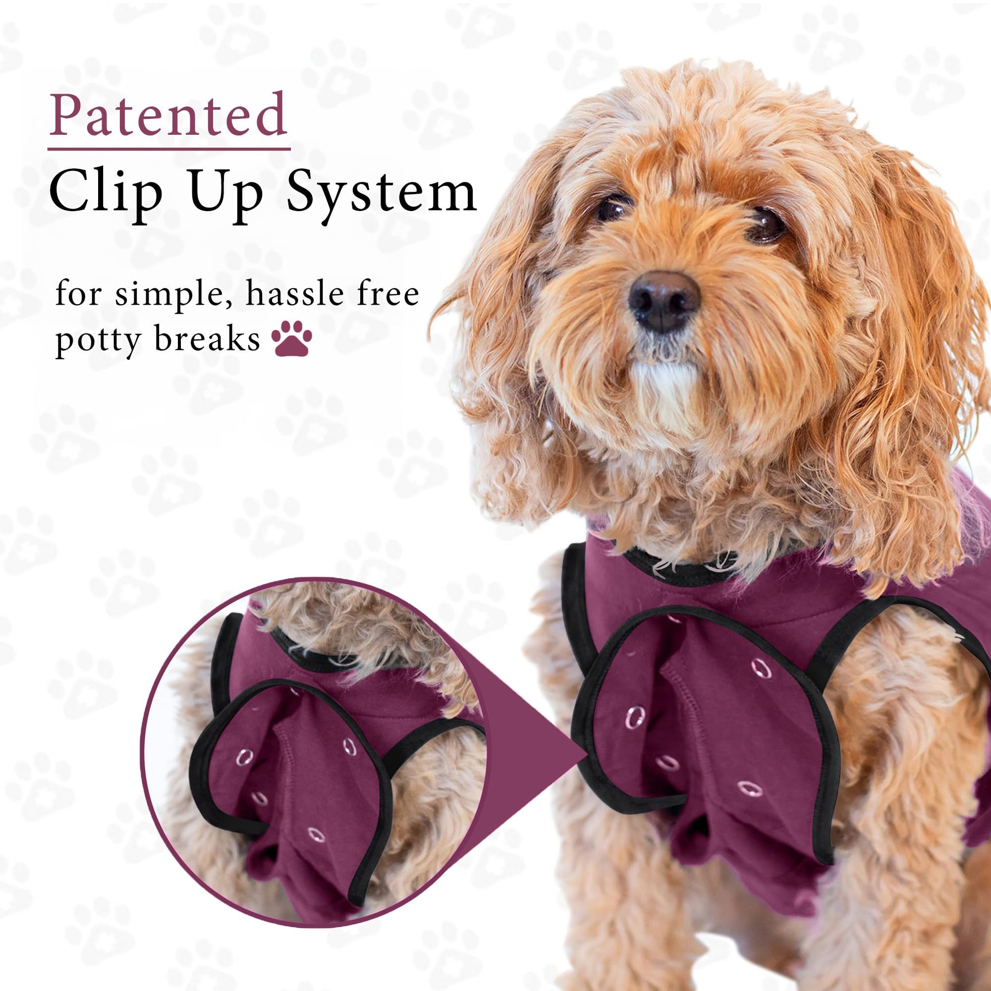 BellyGuard Dog Surgery Recovery Suit, Dog Onesie for Post-Op Care, Recovery Apparel for Female and Male, Surgical Body Cover for Canine Healing Support