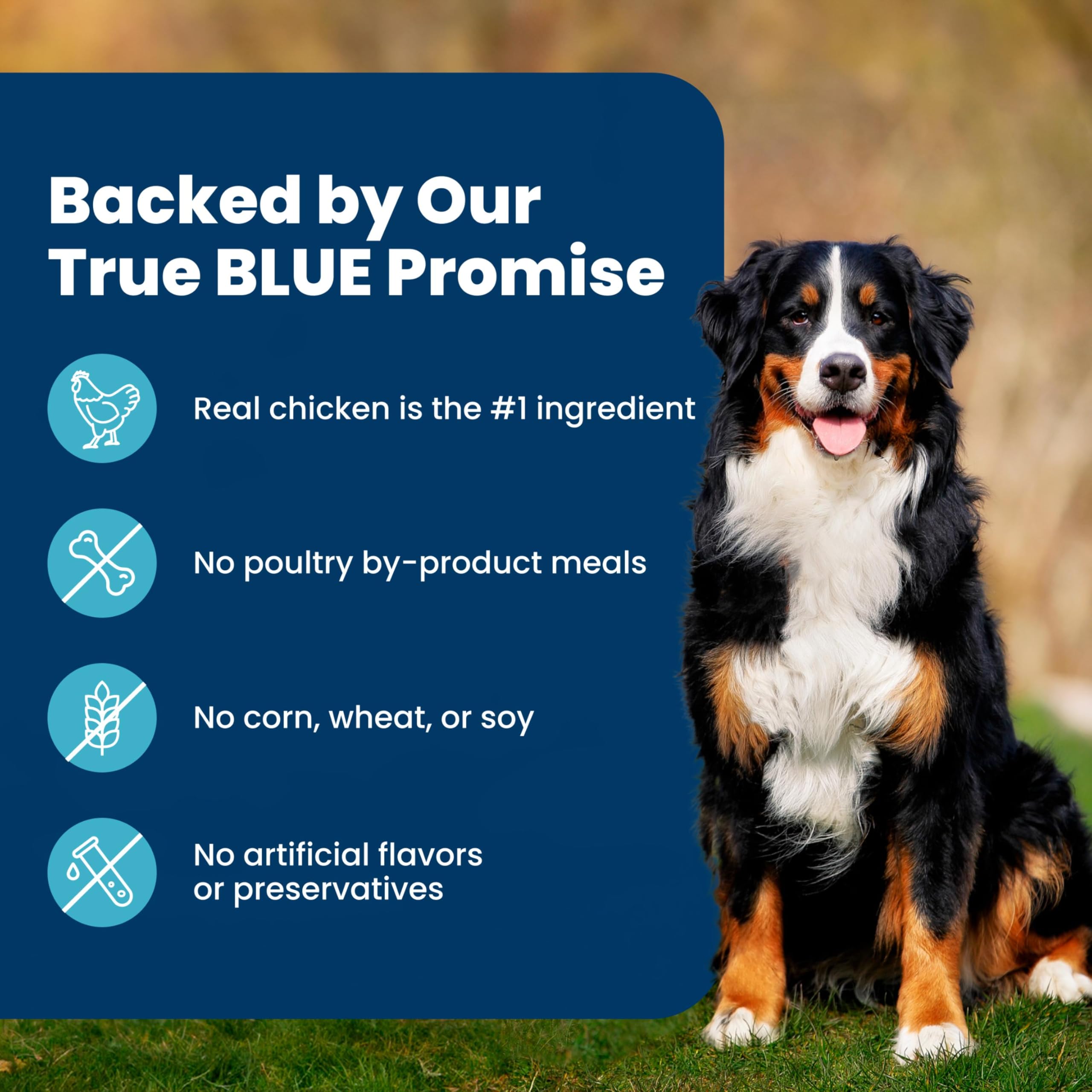 Blue Buffalo Life Protection Formula Healthy Weight Adult Dry Dog Food, Chicken & Brown Rice, Supports Immunity with Antioxidant-Rich LifeSource Bits, Promotes Lean Muscles & Weight Control, 30 lbs.