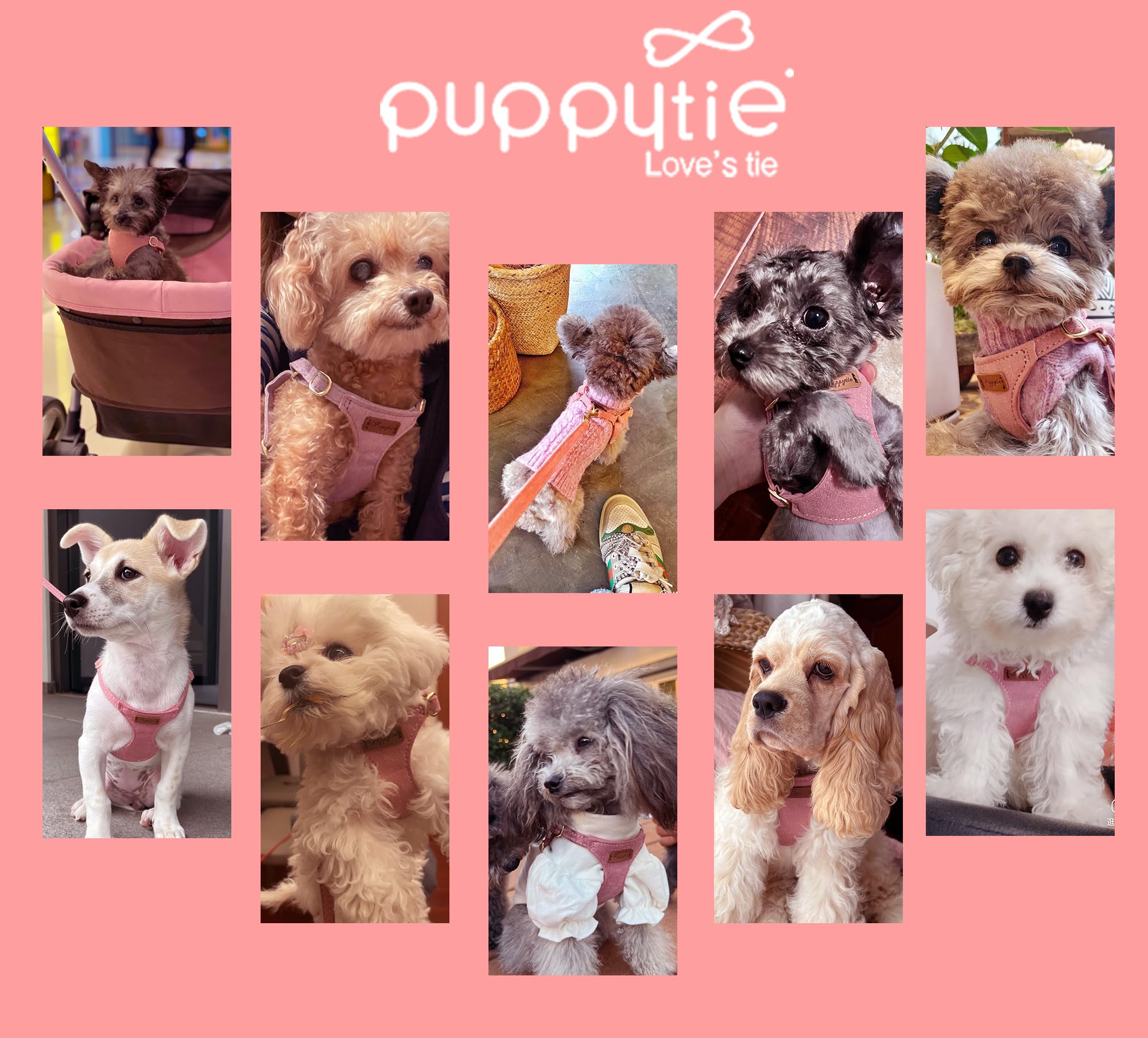 Puppytie No Pull Dog Harness with Multifunction Dog Leash,Soft Adjustable No Choke Escape Proof Pet Harness Vest for Medium Dogs or Large Dogs,Pink,M