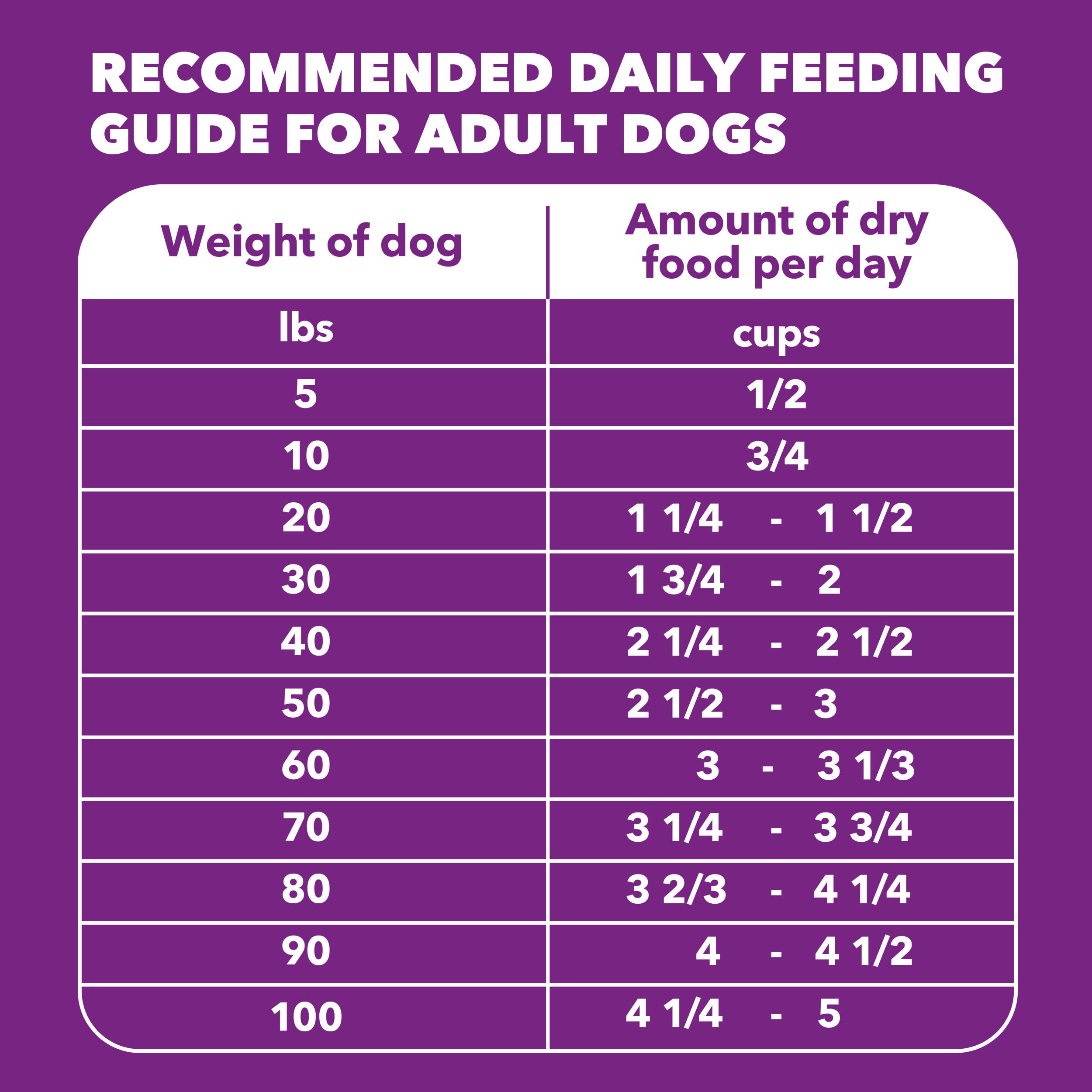 IAMS Advanced Health Skin & Coat Dry Dog Food, Adult Dog Food Dry Chicken and Salmon Recipe, 13.5 lb. Bag