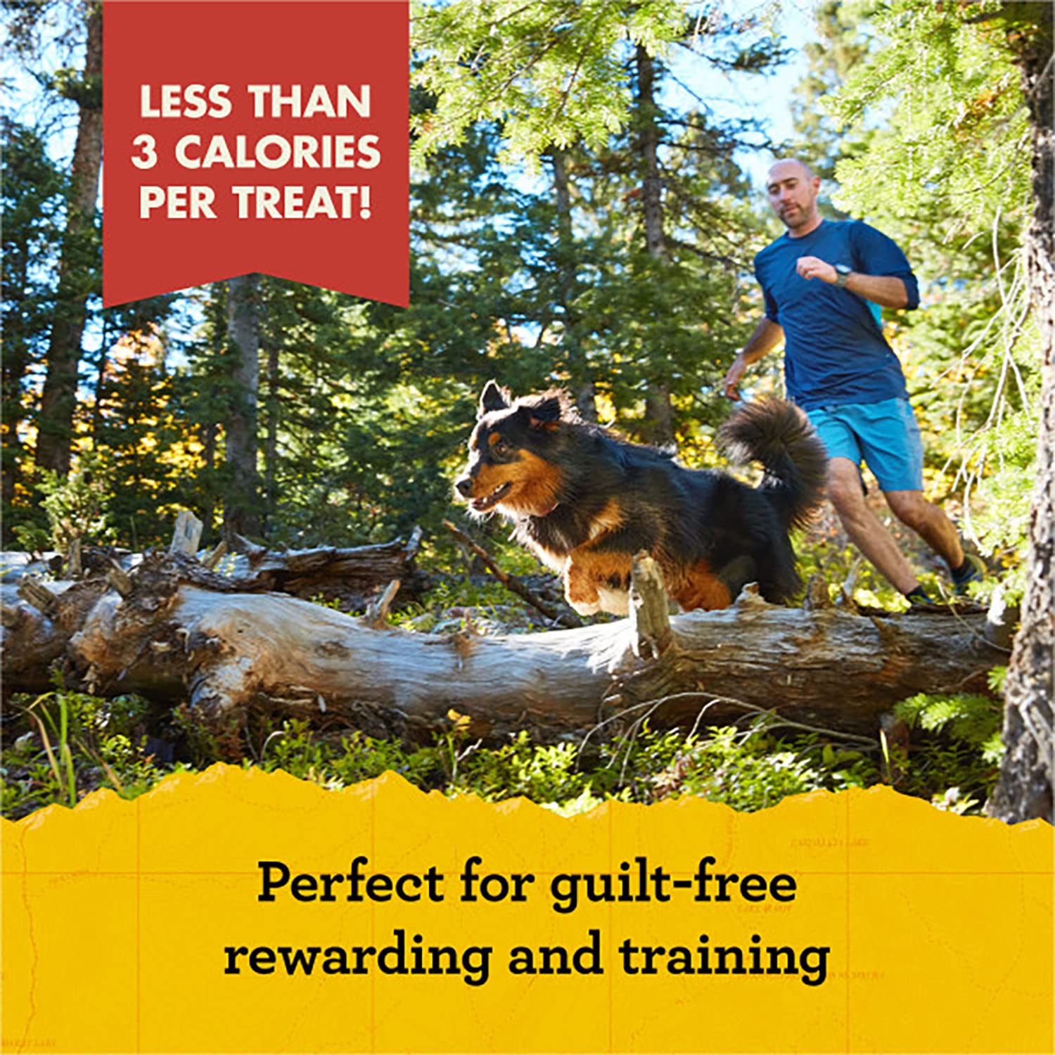 Zuke's Mini Naturals Dog Training Treats, Salmon Recipe, Soft Mini Dog Treats with Vitamins & Minerals, Made for All Breed Sizes (Salmon, 16 Ounce (Pack of 2)