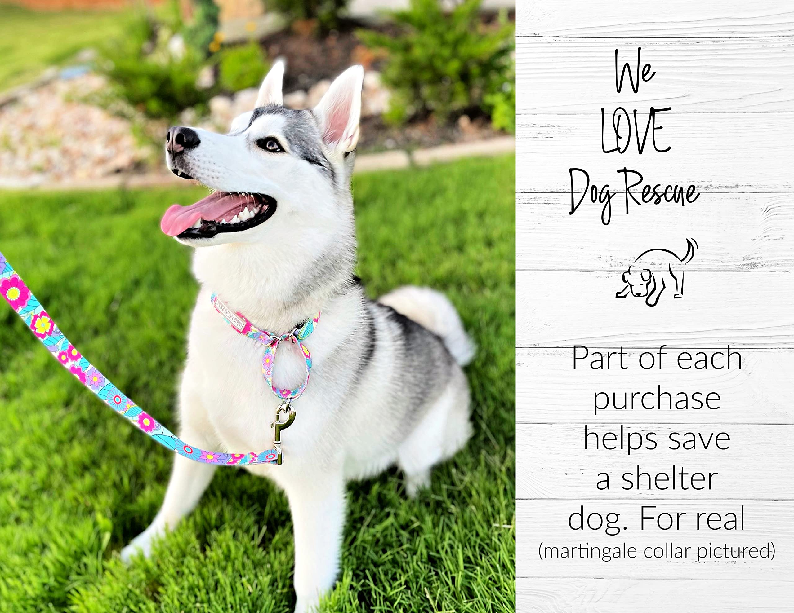 Lucky Love Dog Martingale Collar, Premium No Slip Martingale Collar for Large Dogs, Great for Whippets, Greyhounds, and More (Caroline, Large)