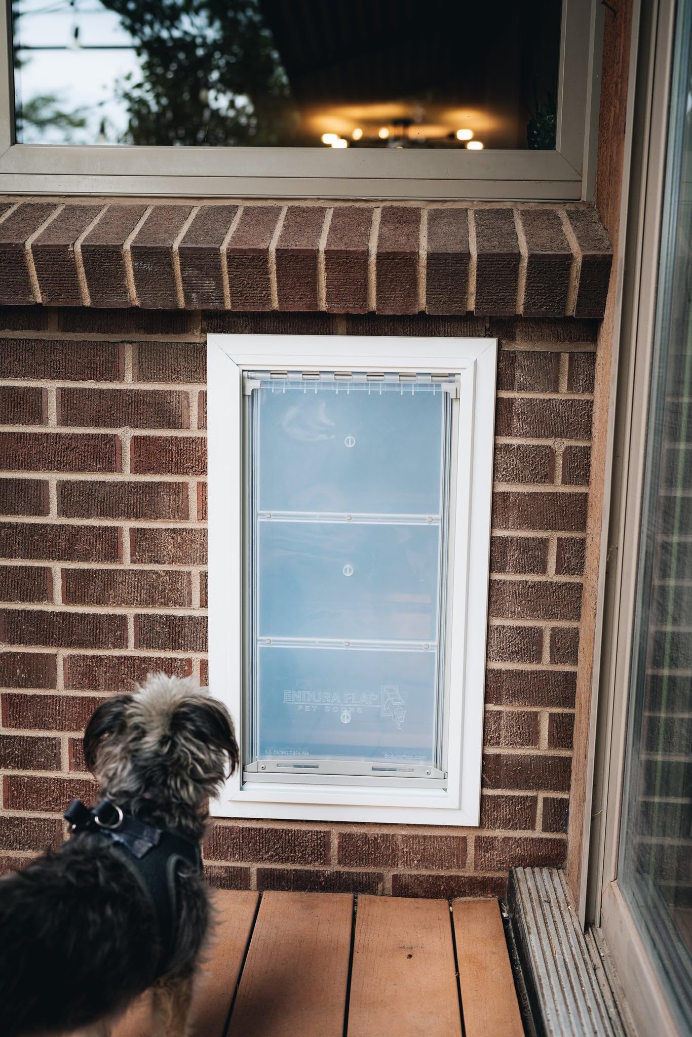 Endura Flap Pet Door for Walls in White | Energy-Efficient Double Flap Design for Wall Installations | All-Weather Protection with All-Metal Telescoping Tunnel | White, Small, Double Flap