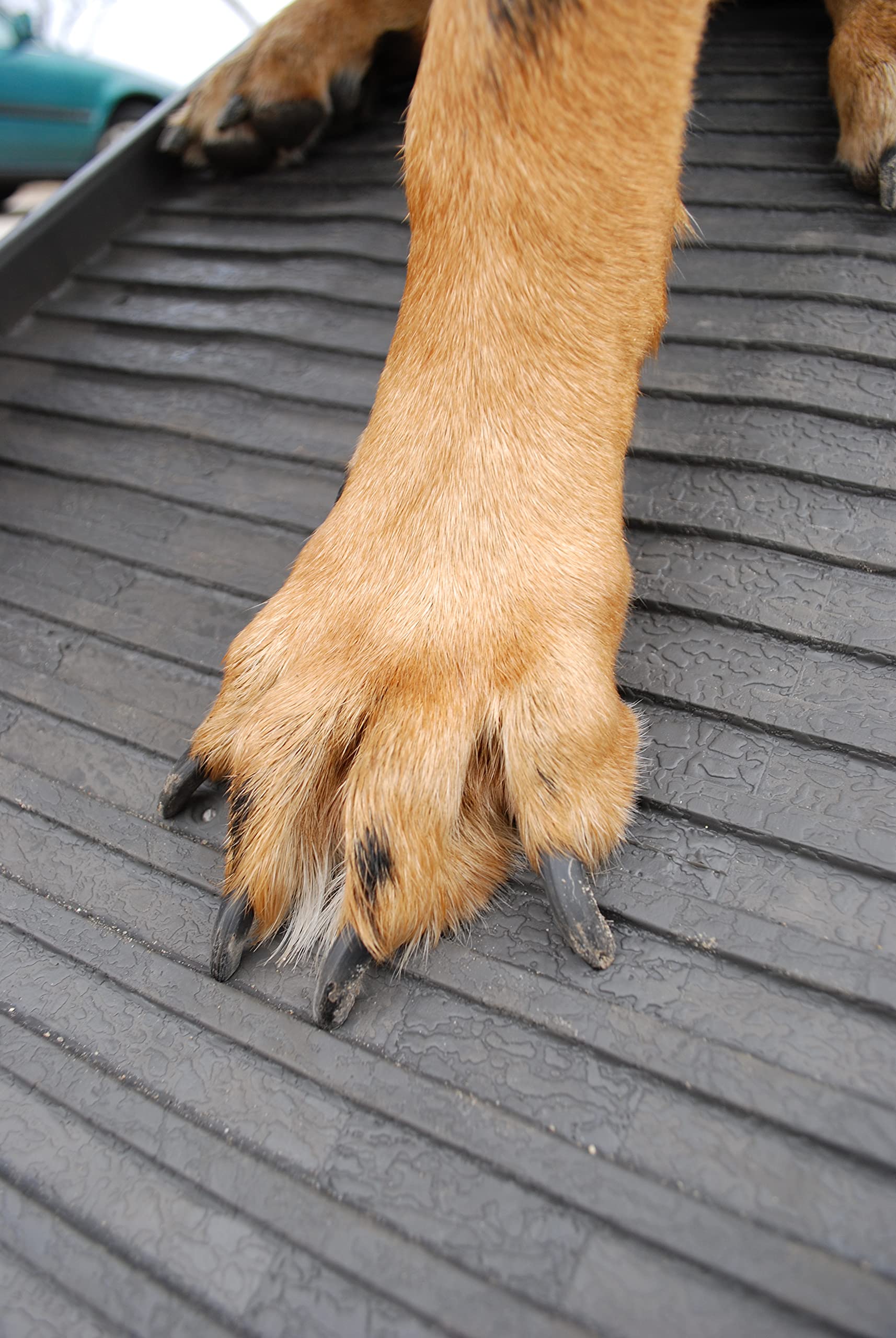 Original PetSTEP folding pet ramp - Graphite