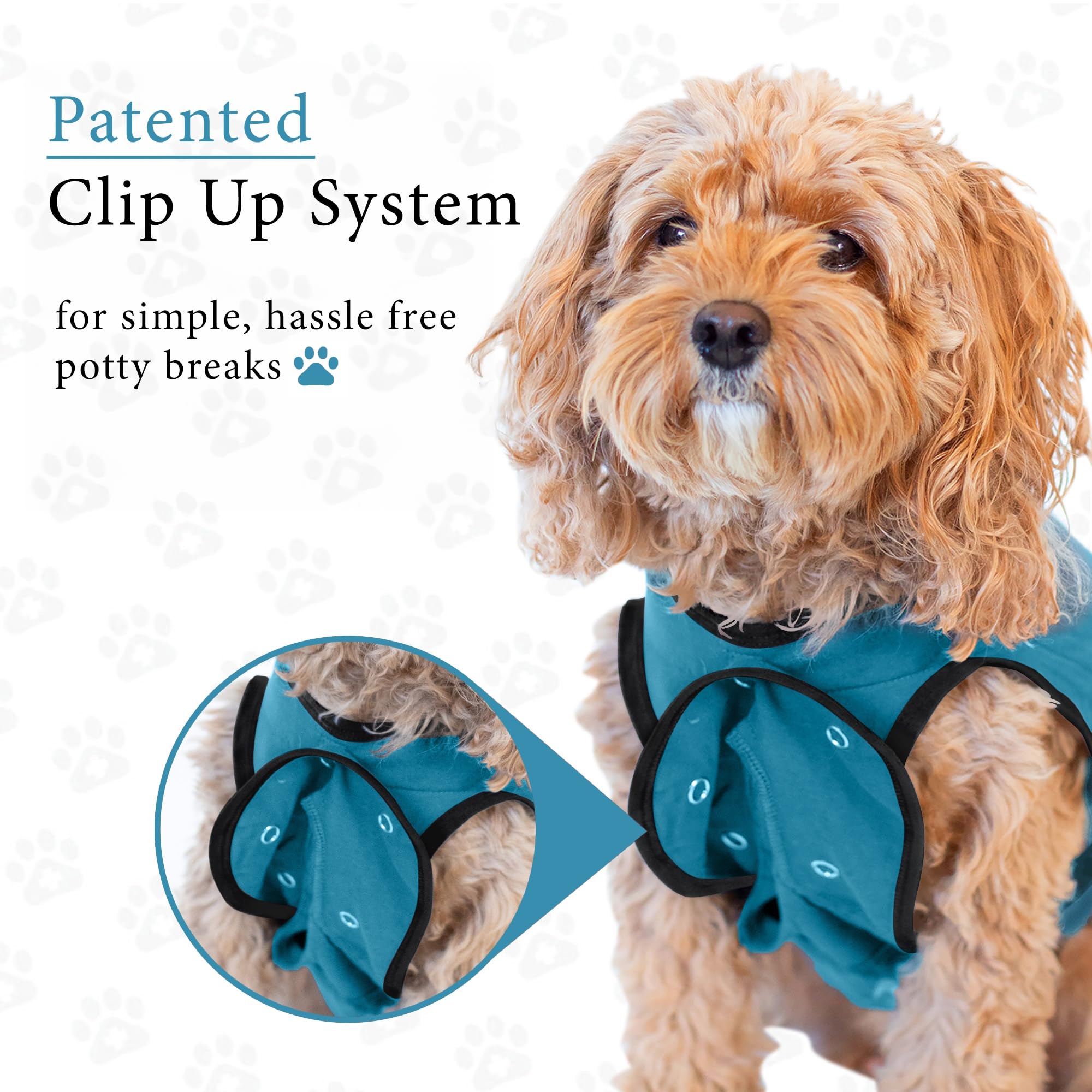 BellyGuard Dog Surgery Recovery Suit, Dog Onesie for Post-Op Care, Recovery Apparel for Female and Male, Surgical Body Cover for Canine Healing Support