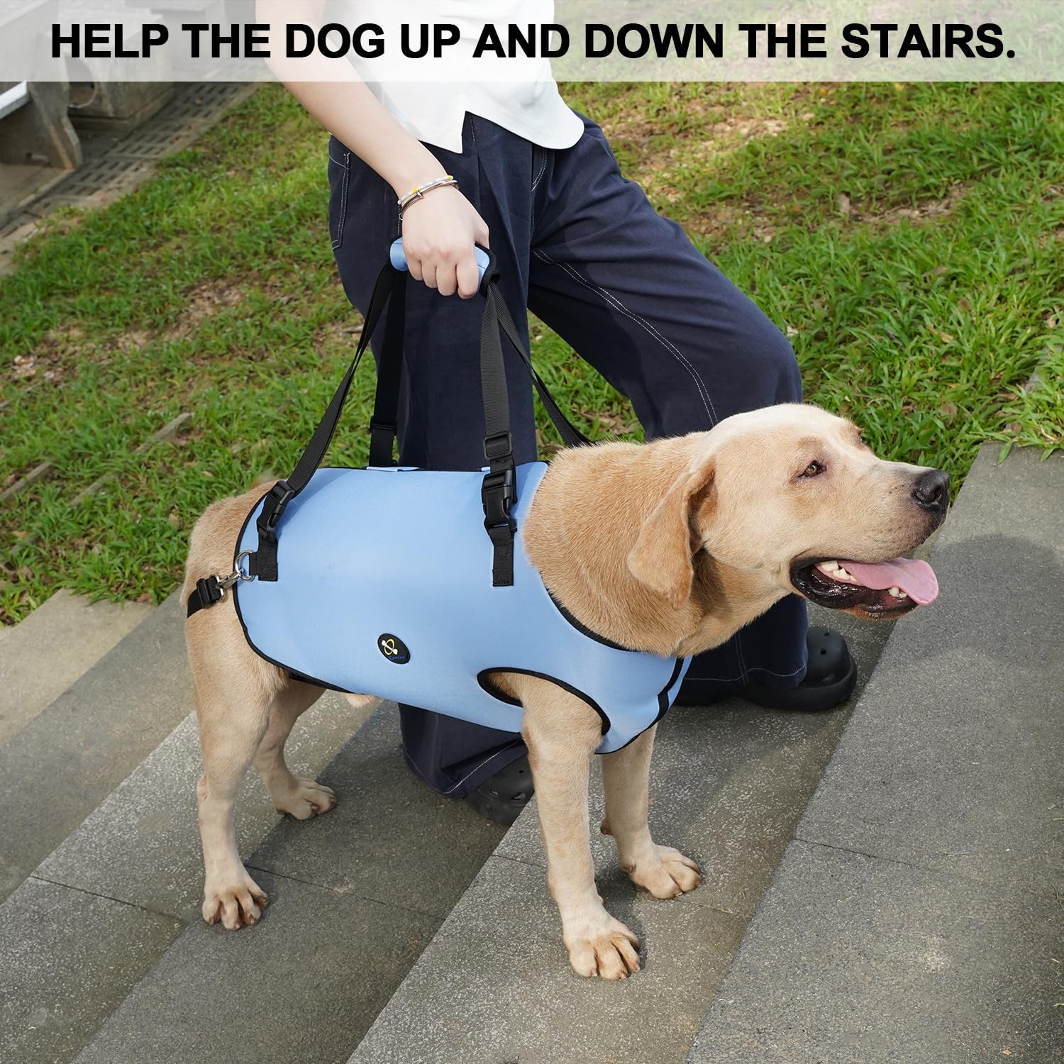 Coodeo Dog Lift Harness, Pet Support & Rehabilitation Sling Lift Adjustable Padded Breathable Straps for Old, Disabled, Joint Injuries, Arthritis, Loss of Stability Dogs Walk (Blue, L)