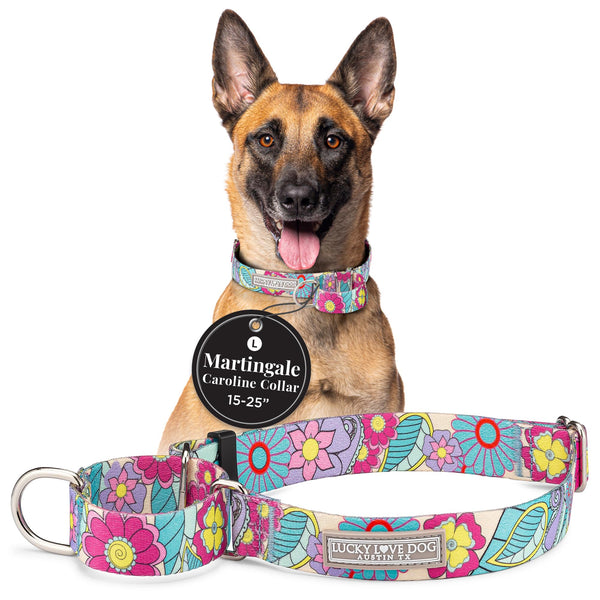 Lucky Love Dog Martingale Collar, Premium No Slip Martingale Collar for Large Dogs, Great for Whippets, Greyhounds, and More (Caroline, Large)