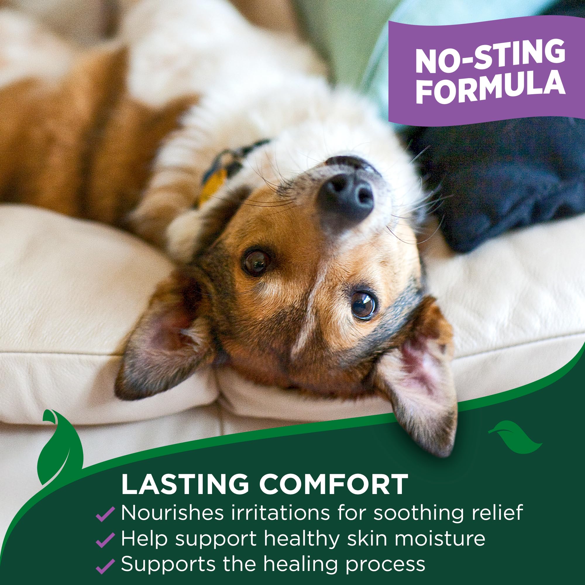 Vet's Best Vet’s Best Dog Hot Spot Itch Relief Spray | Relieves Dog Dry Skin, Rash, Scratching, Licking, Itchy Skin, and Hot Spots | No-Sting and Alcohol Free | 8 Ounces