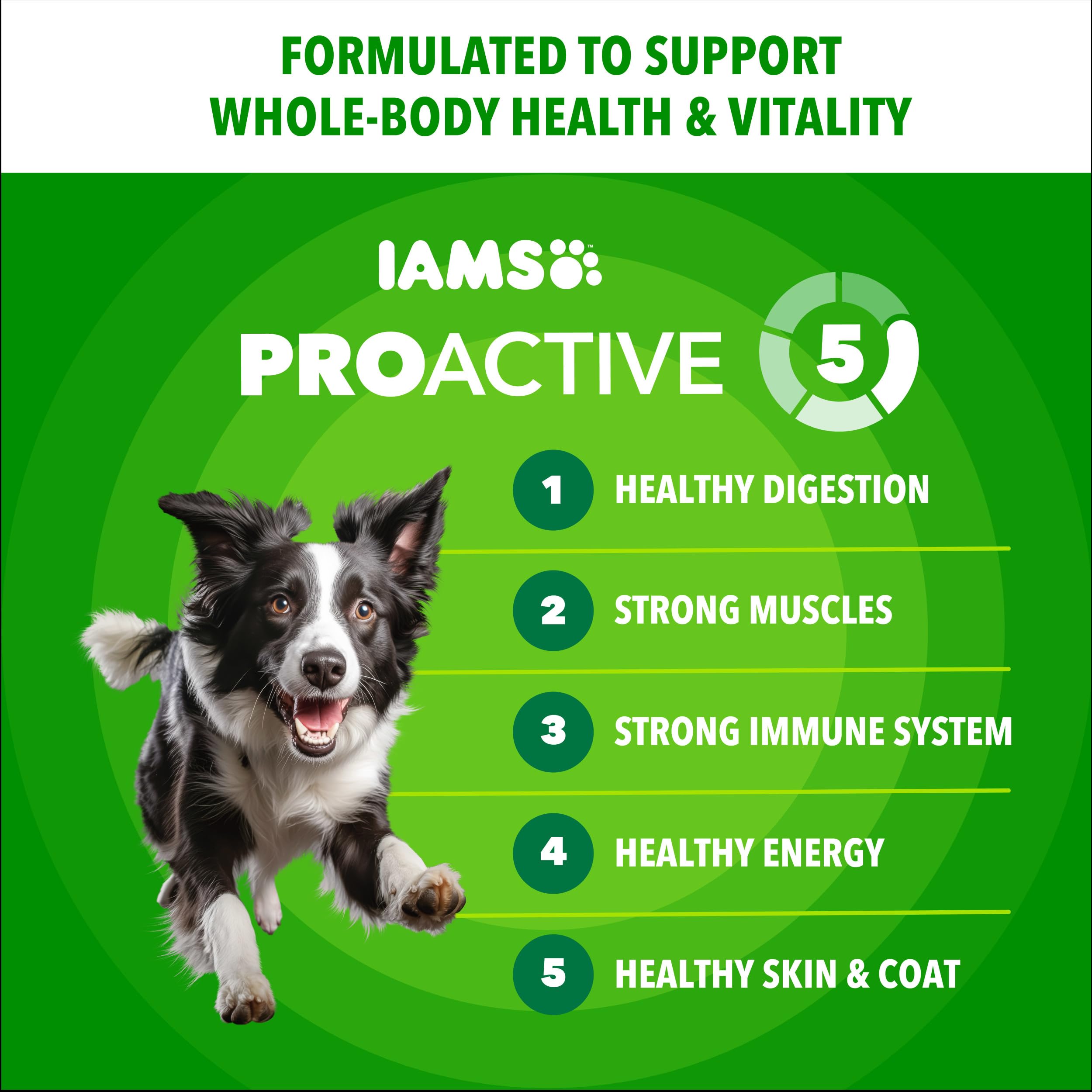 IAMS Proactive Health Minichunks Premium Dry Dog Food, Adult Dog Food Dry Recipe, 15 lb. Bag