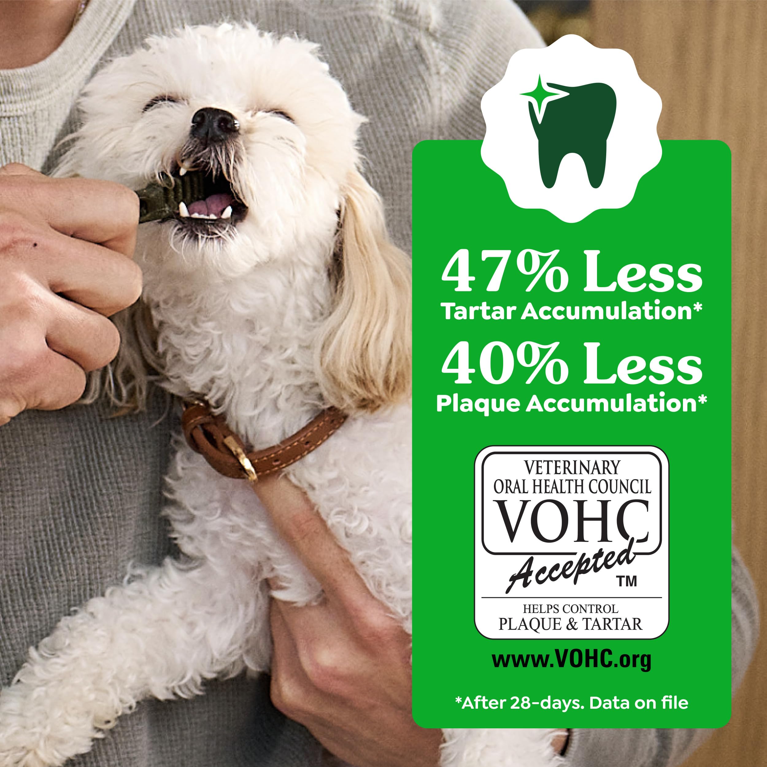 Greenies Veterinarian-Recommended Adult Natural Dental Dog Treats Regular Size, Dog Dental Chews, Original Flavor, 12 oz. Pack, 12 Count