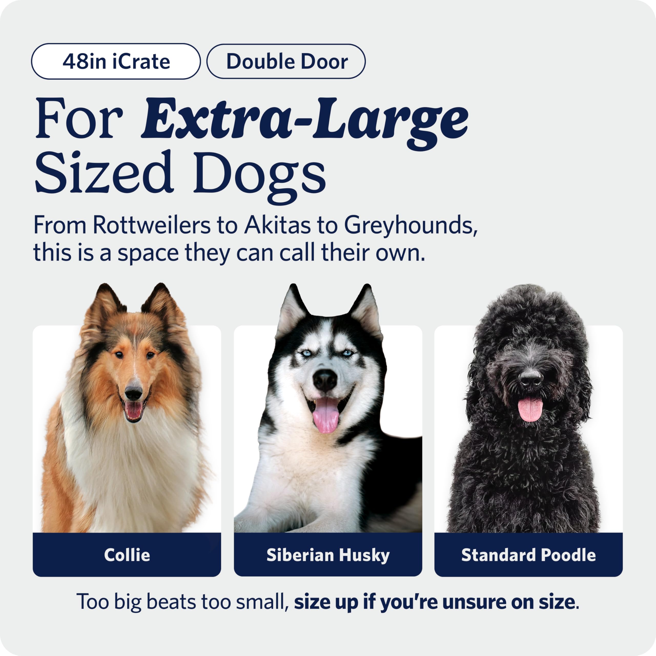 MidWest Homes for Pets 48-Inch iCrate for Extra-Large Breeds, 90-110 lbs, Double Door Folding Dog Crate with Divider Panel, Leak-Proof Tray & Secure Latches, Portable, Durable & Easy to Assemble